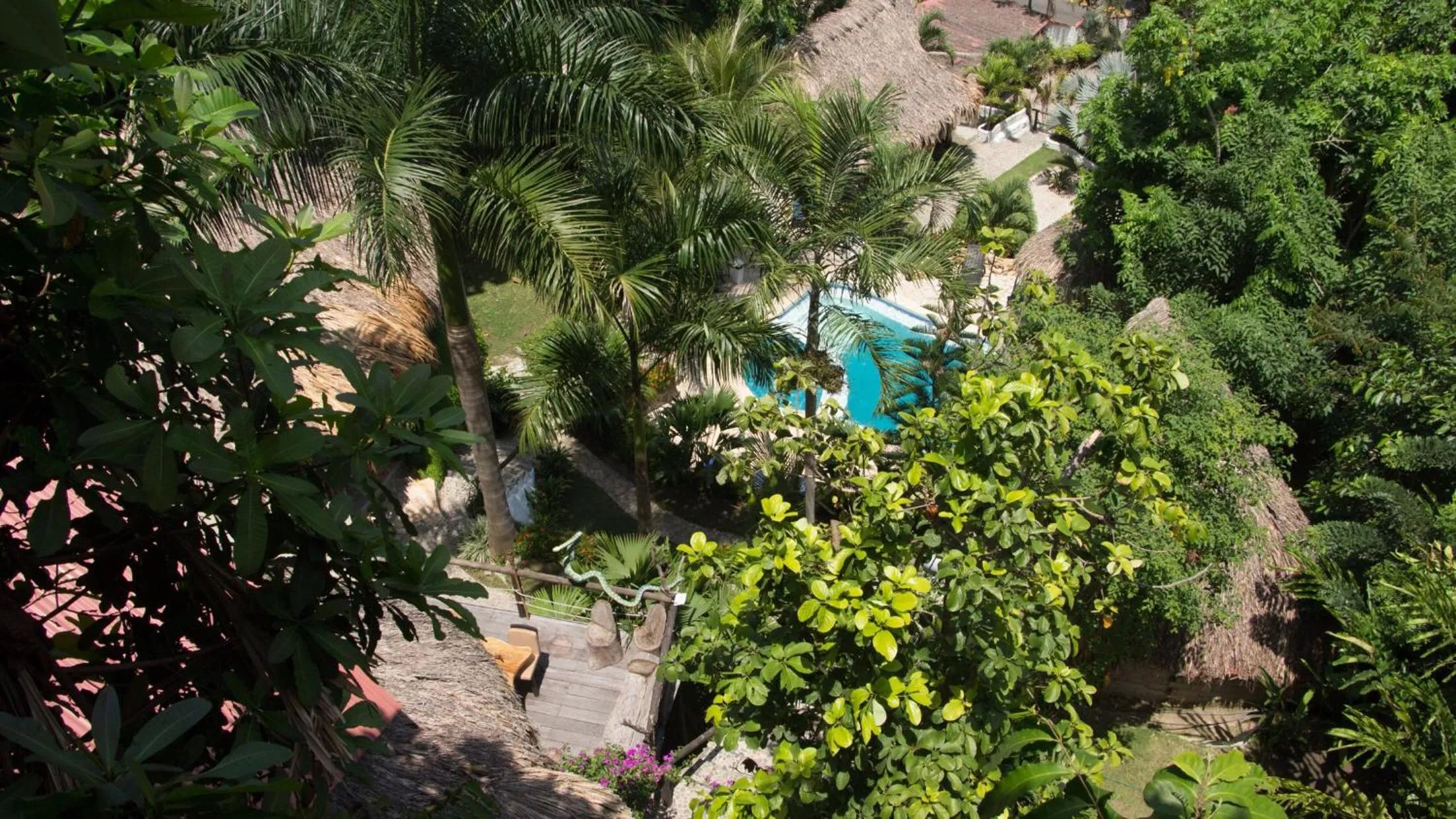 Spring in Monte Verde Tayrona