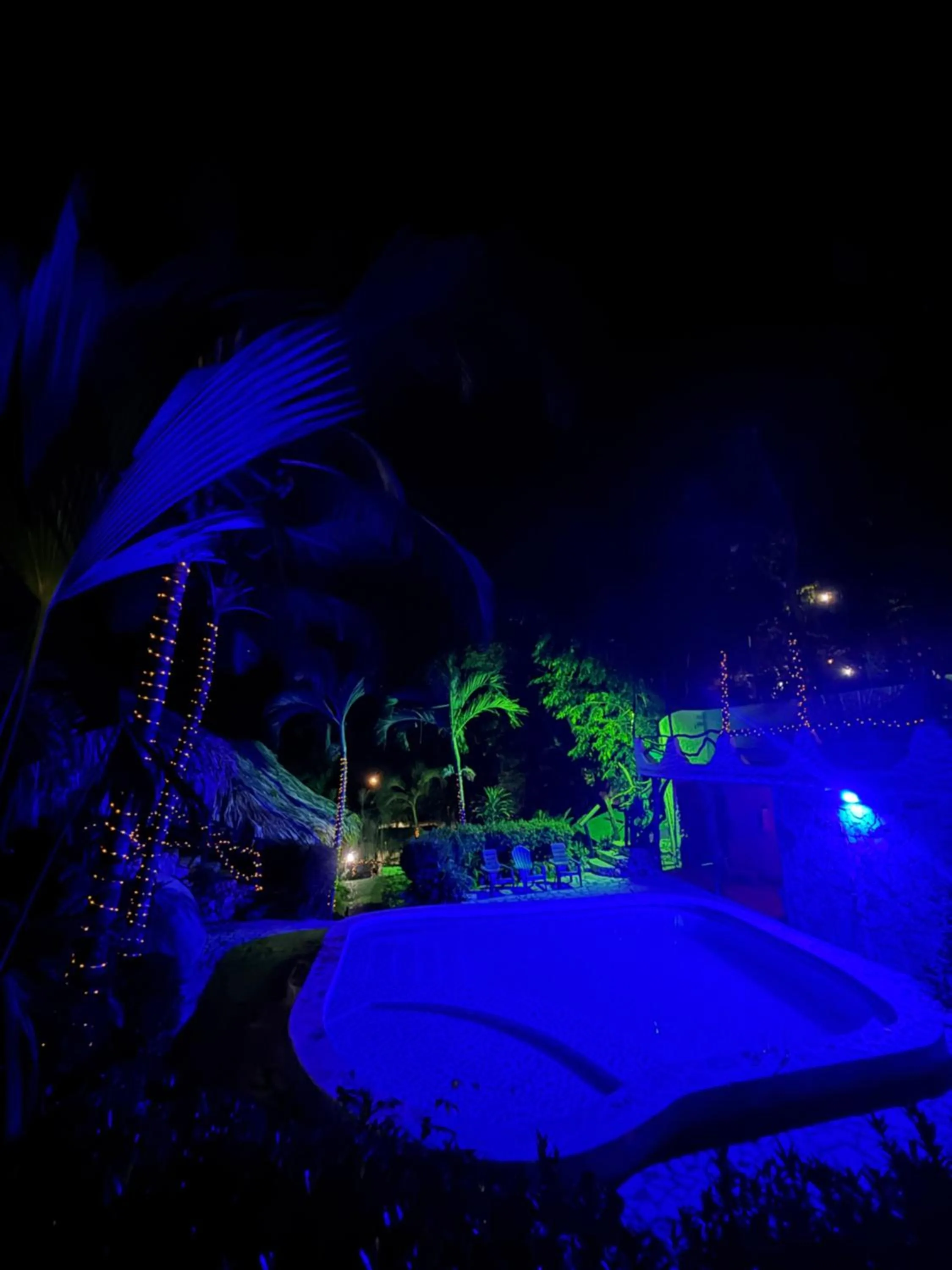 Night in Monte Verde Tayrona