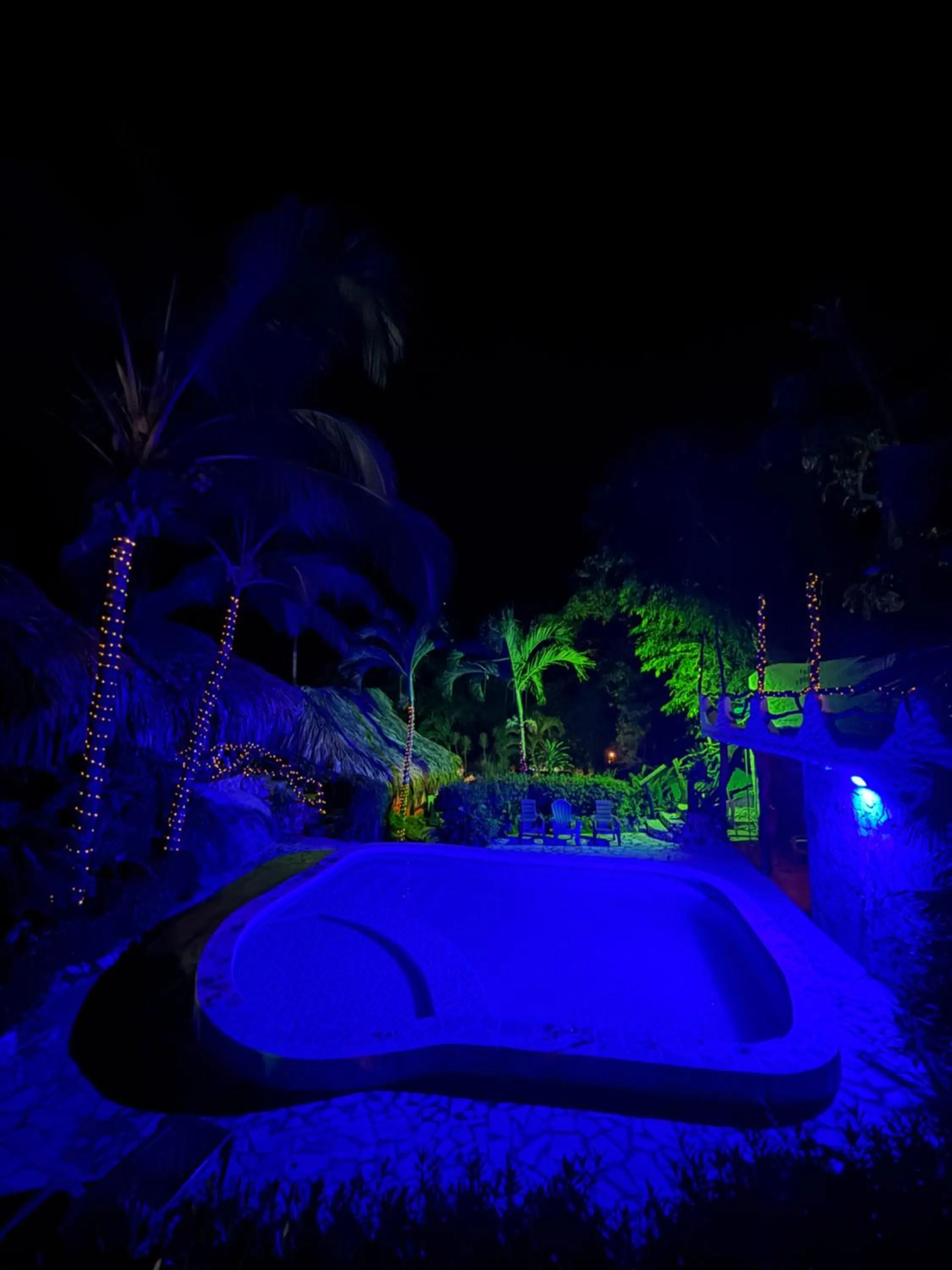 Night in Monte Verde Tayrona