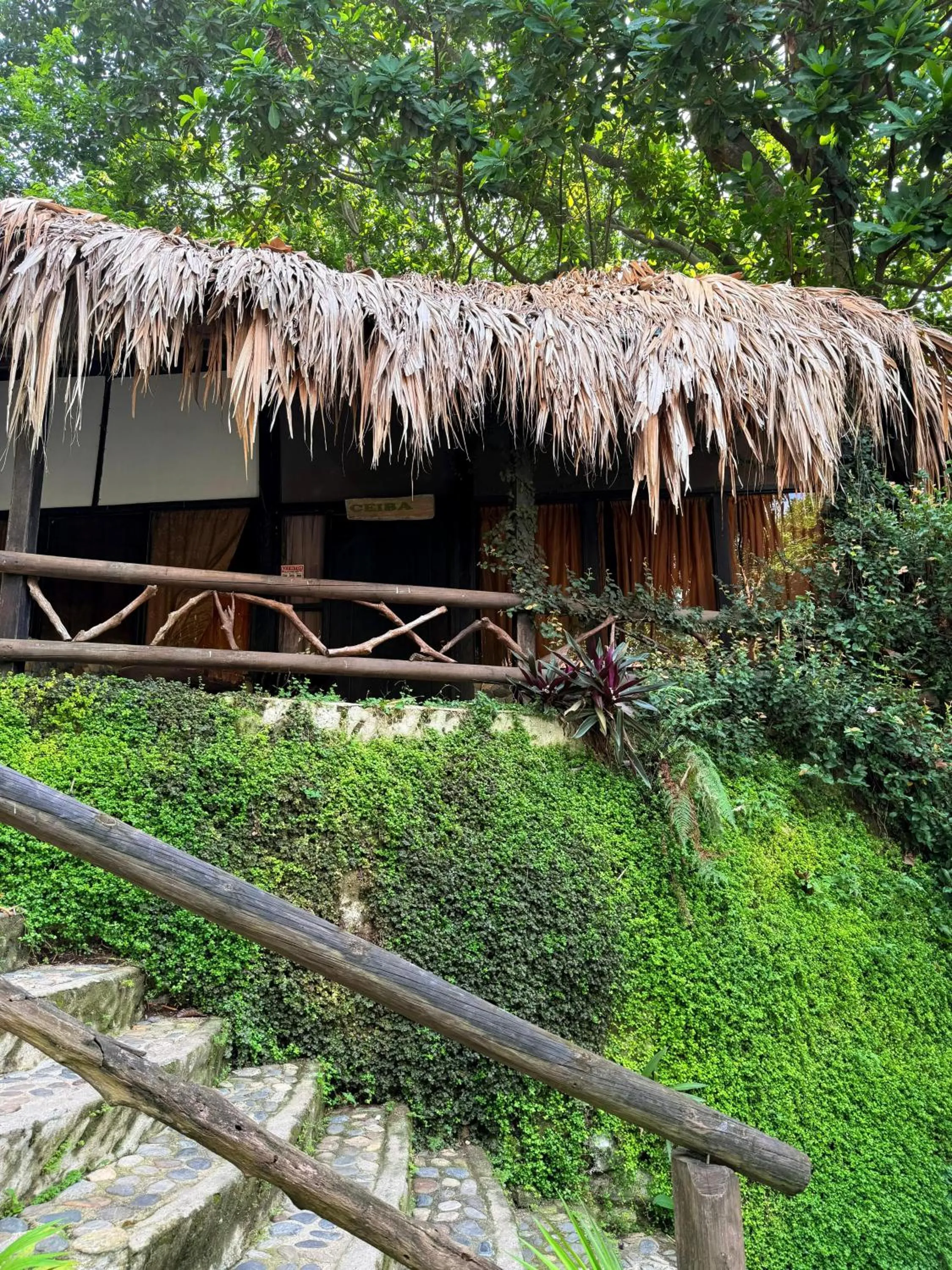 Natural landscape in Monte Verde Tayrona