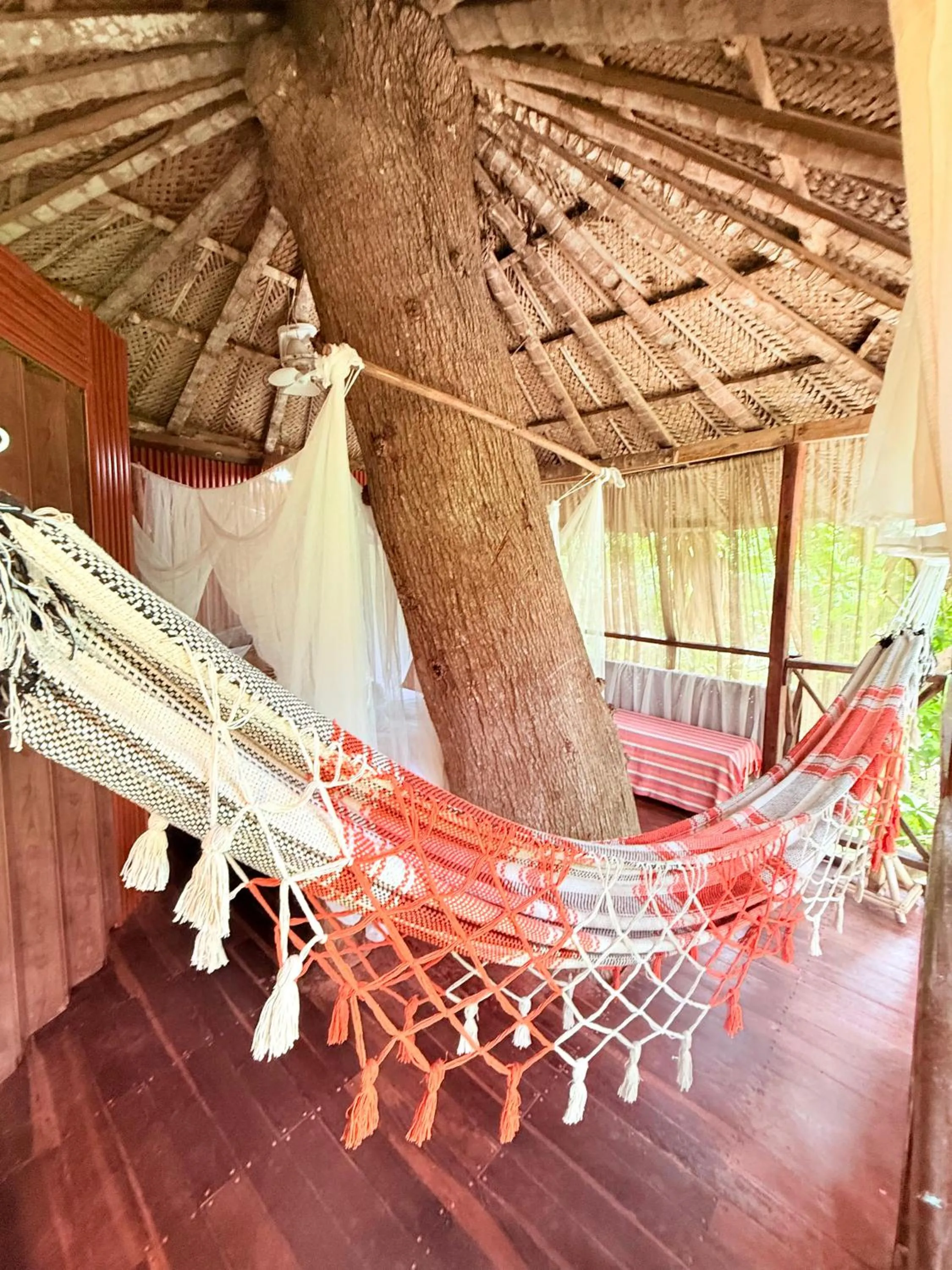 Monte Verde Tayrona