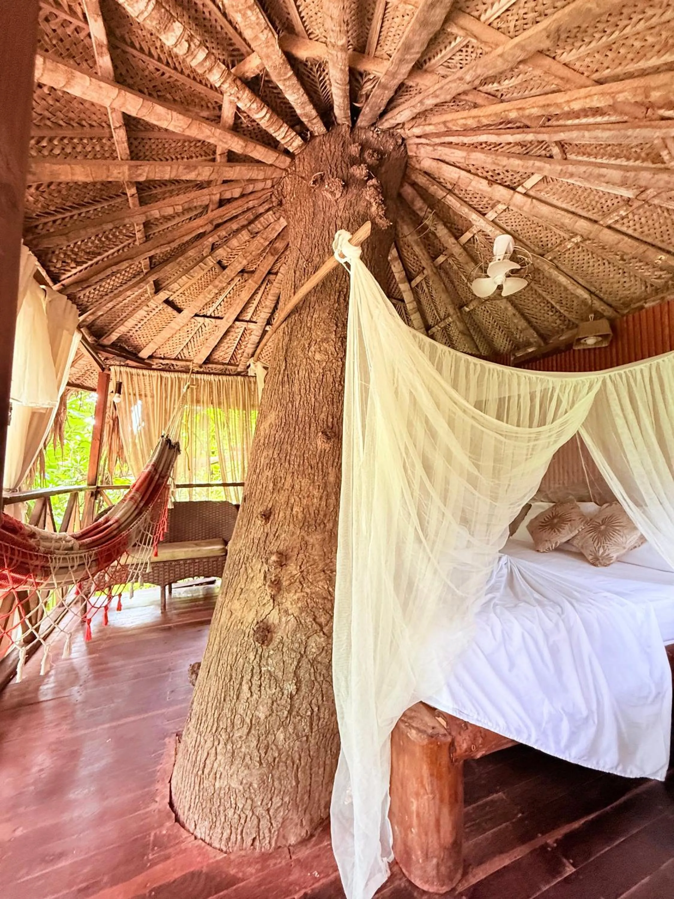 Monte Verde Tayrona