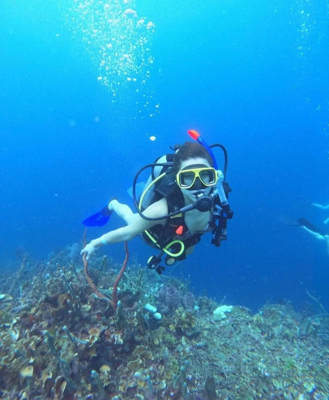 Natural landscape in Dreimar Hotel Boutique