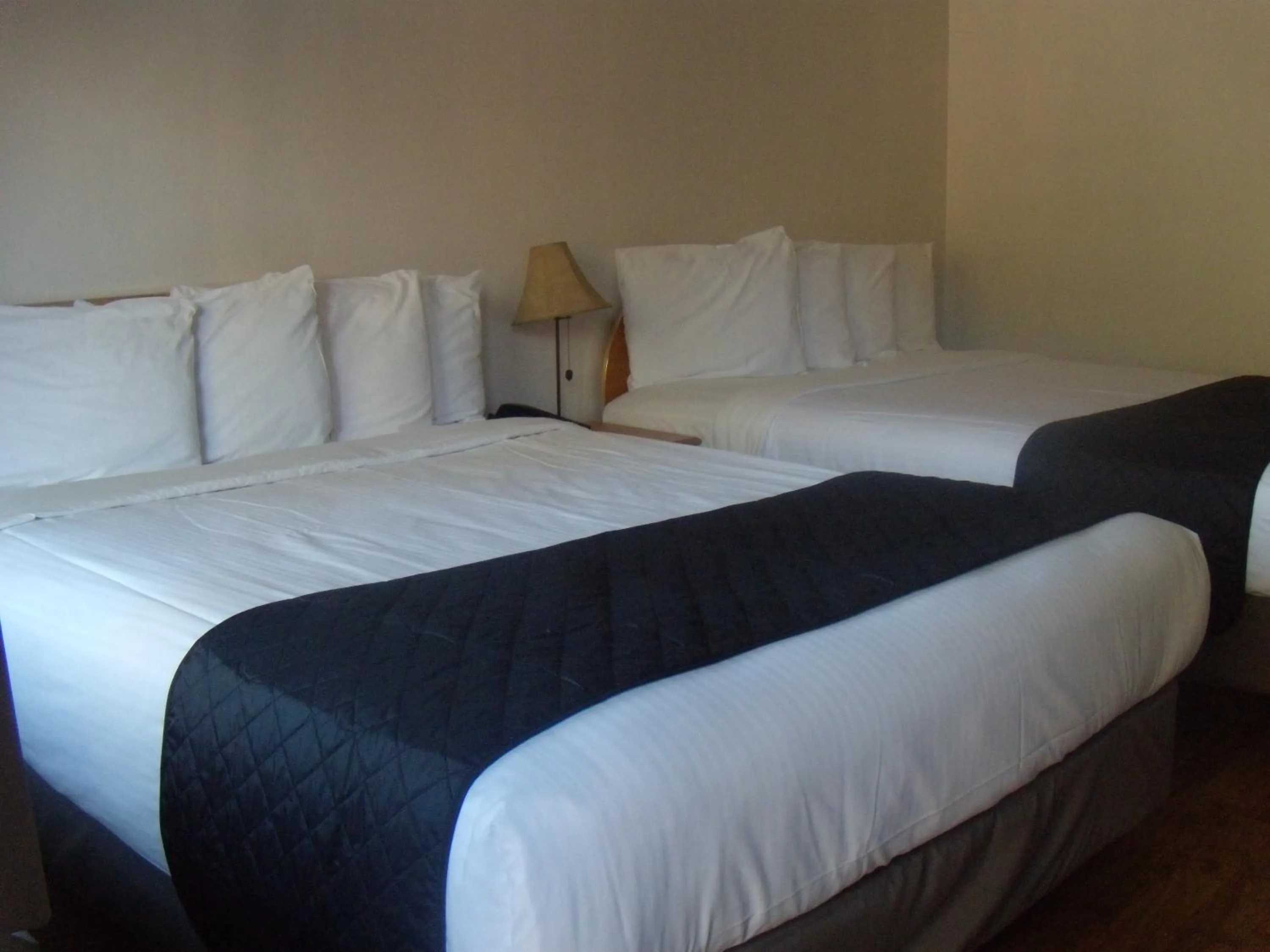 Bed in Corral Creek Lodge