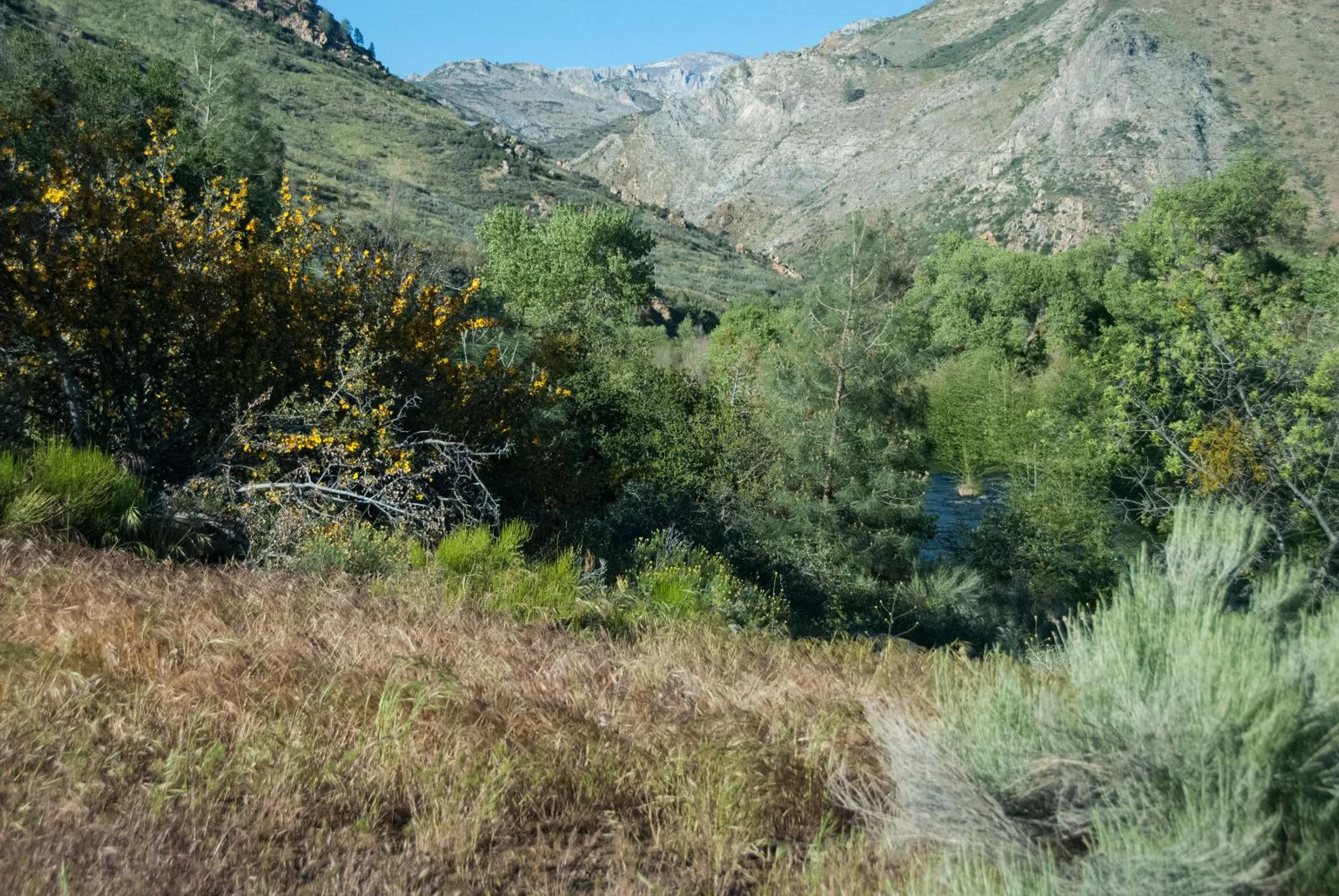 Natural landscape in Corral Creek Lodge
