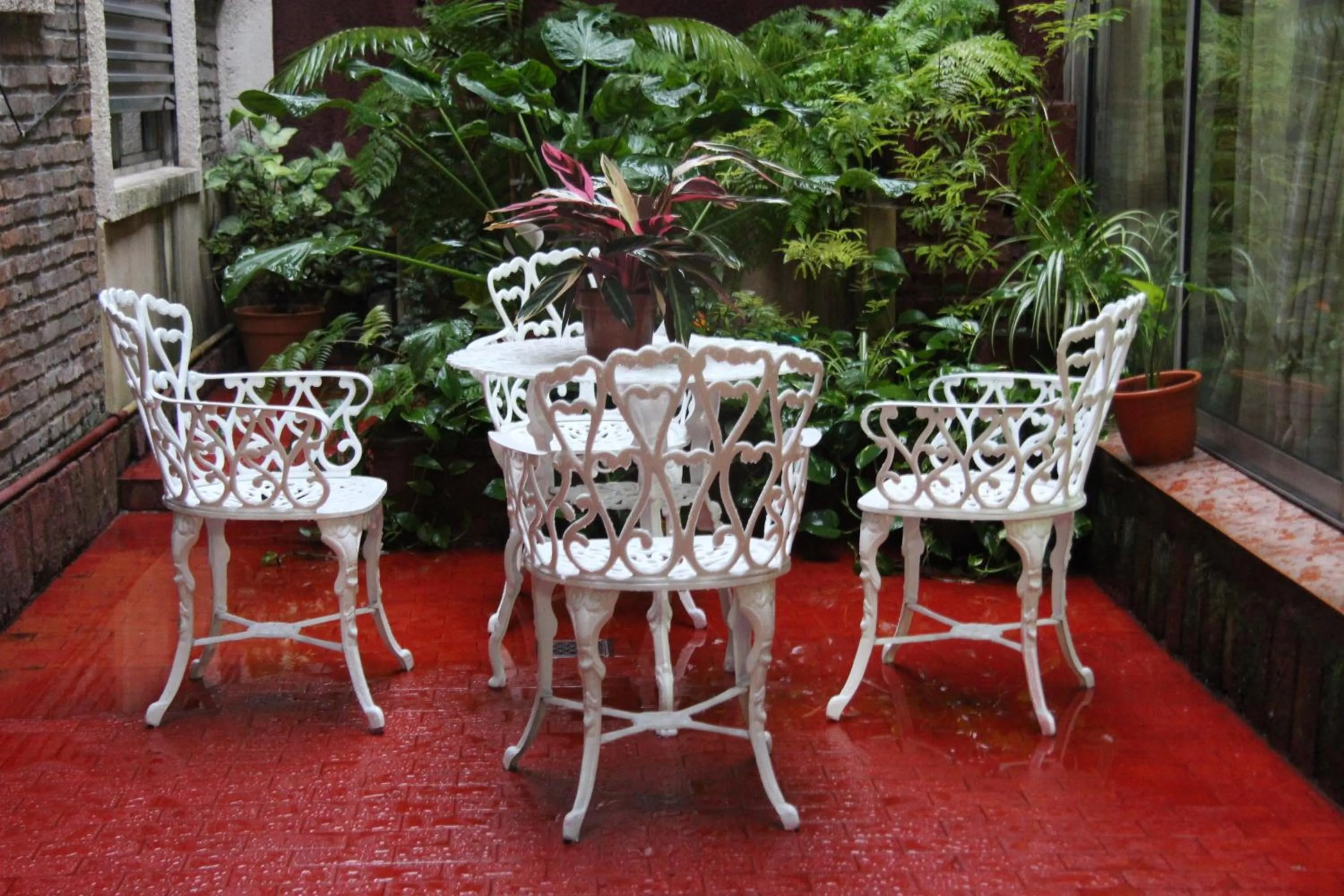 Garden in Hotel Yaro
