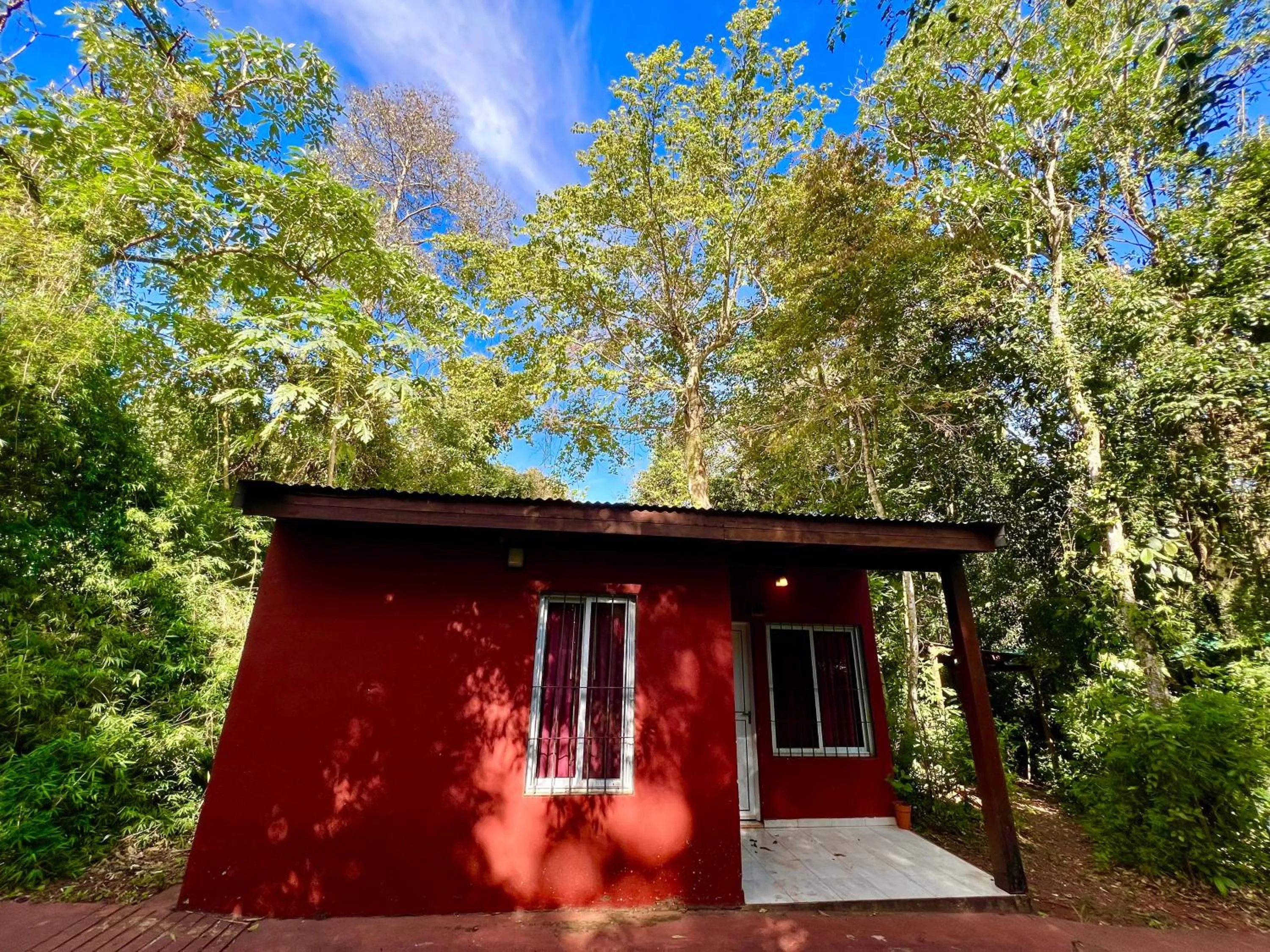 Rainforest Hotel & Cabañas