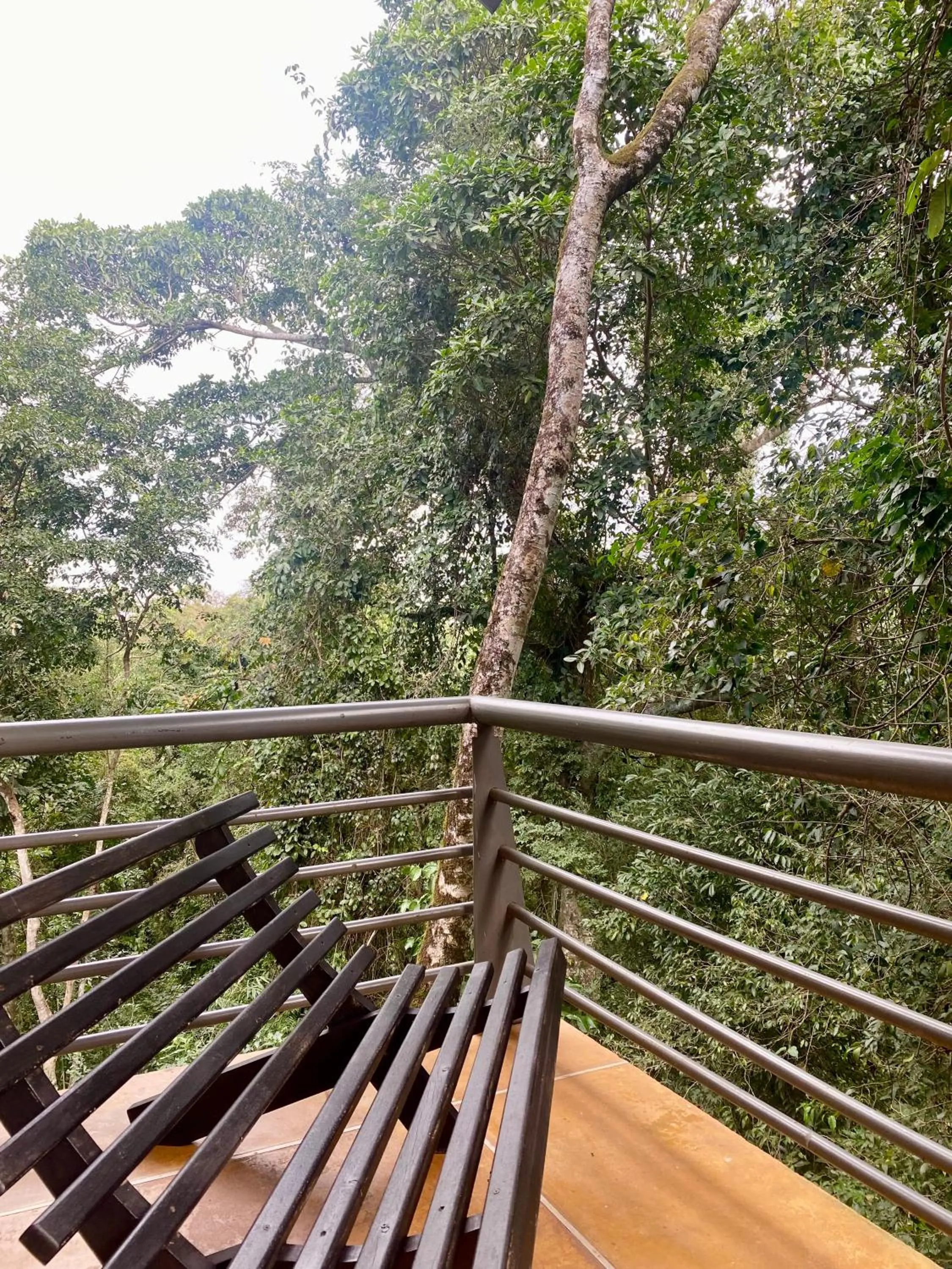 Rainforest Hotel & Cabañas