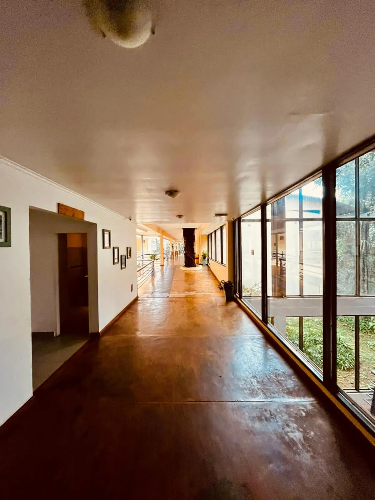 Rainforest Hotel & Cabañas