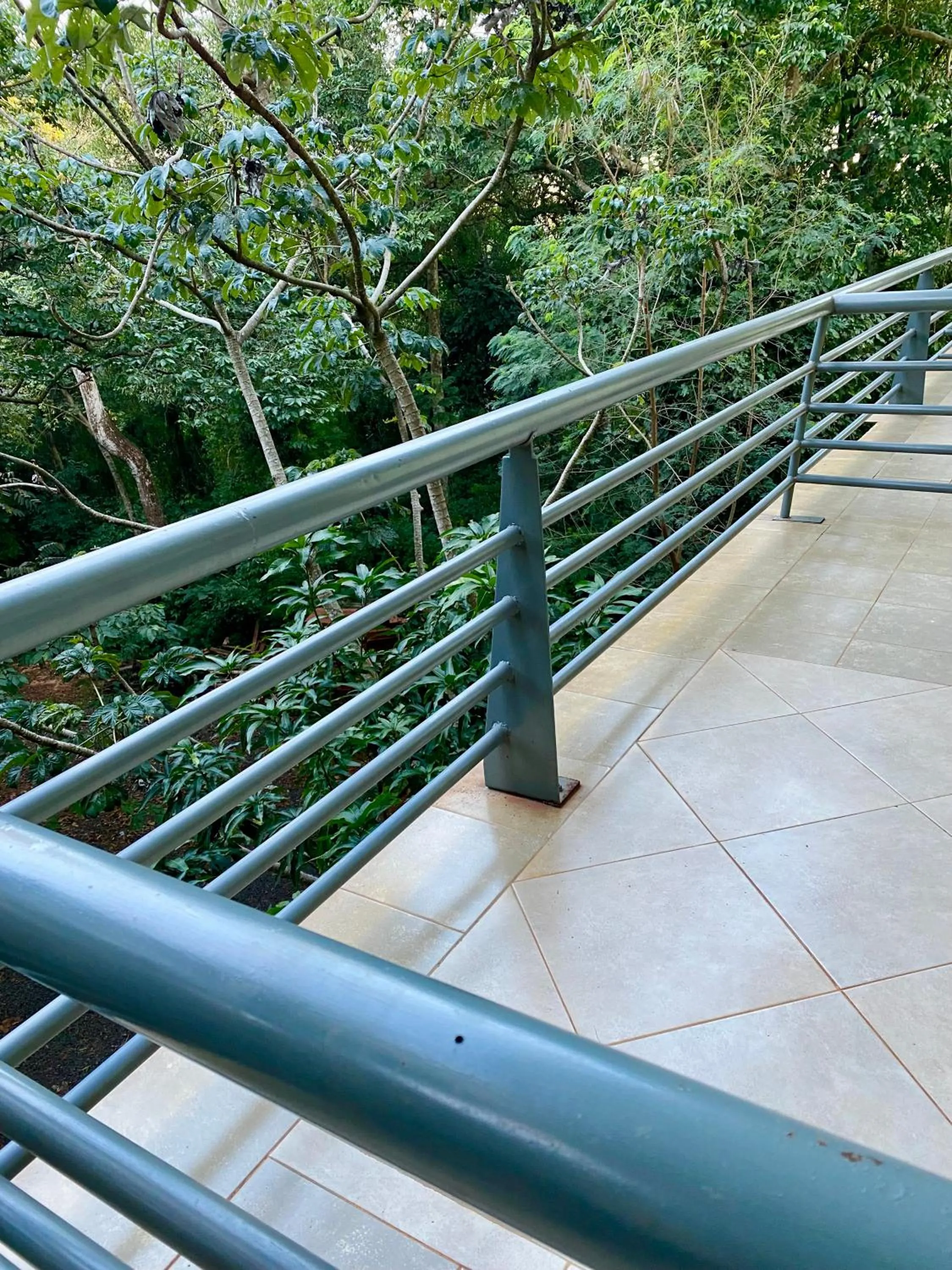 Rainforest Hotel & Cabañas