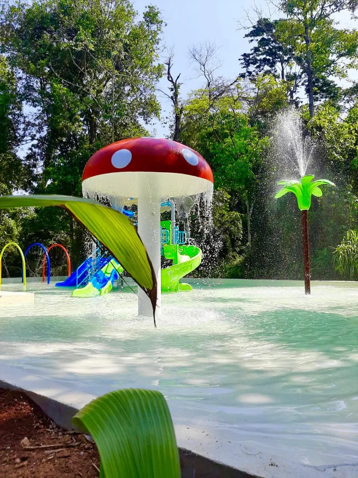 Aqua park in Rainforest Hotel & Cabañas