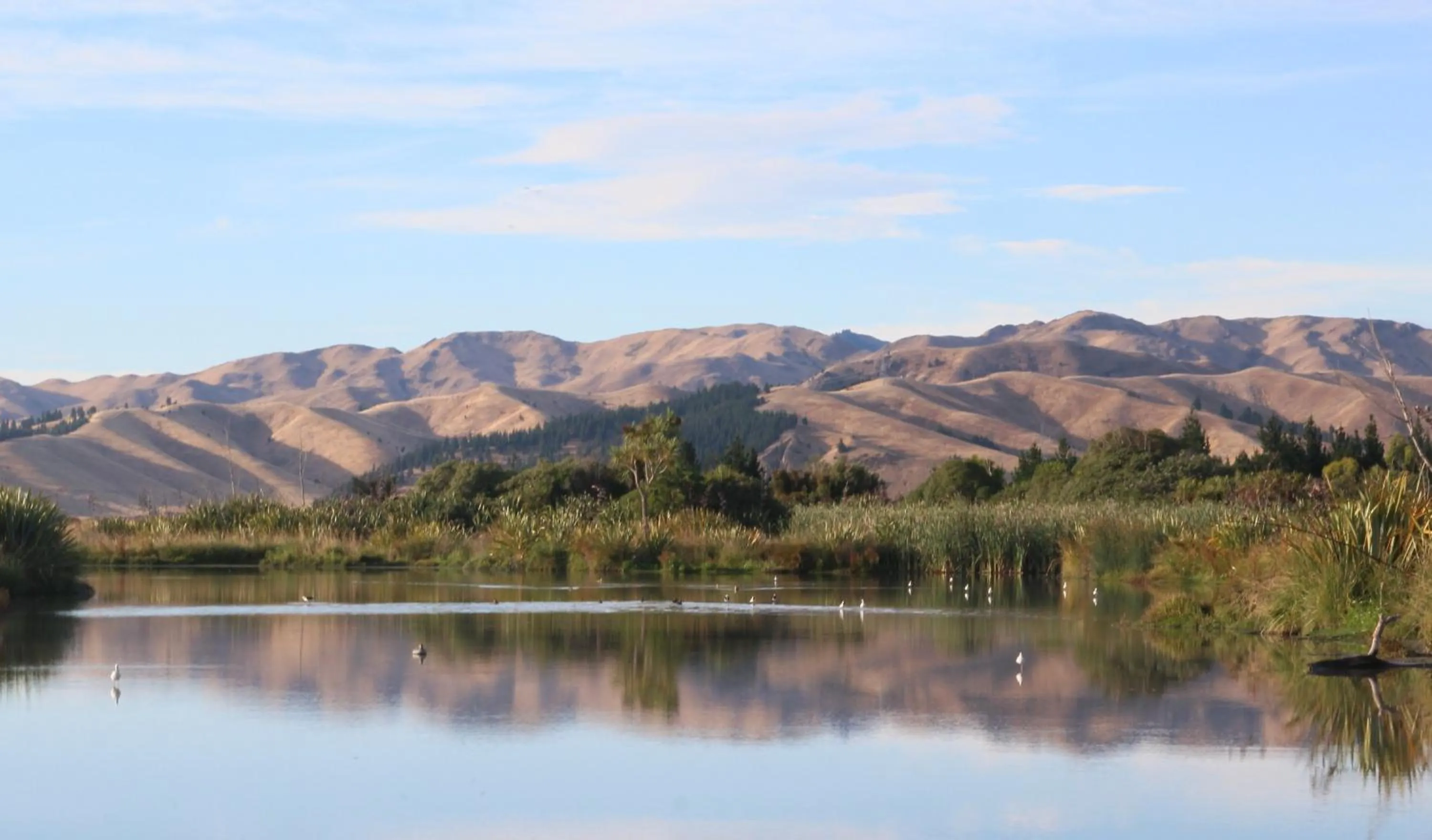 Natural landscape in Misty River Retreat