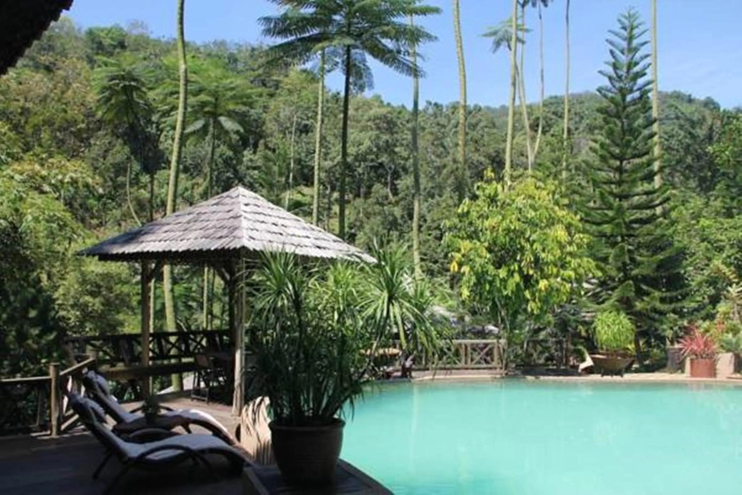 Garden in Fig Tree Hills Resort (花果山度假村)