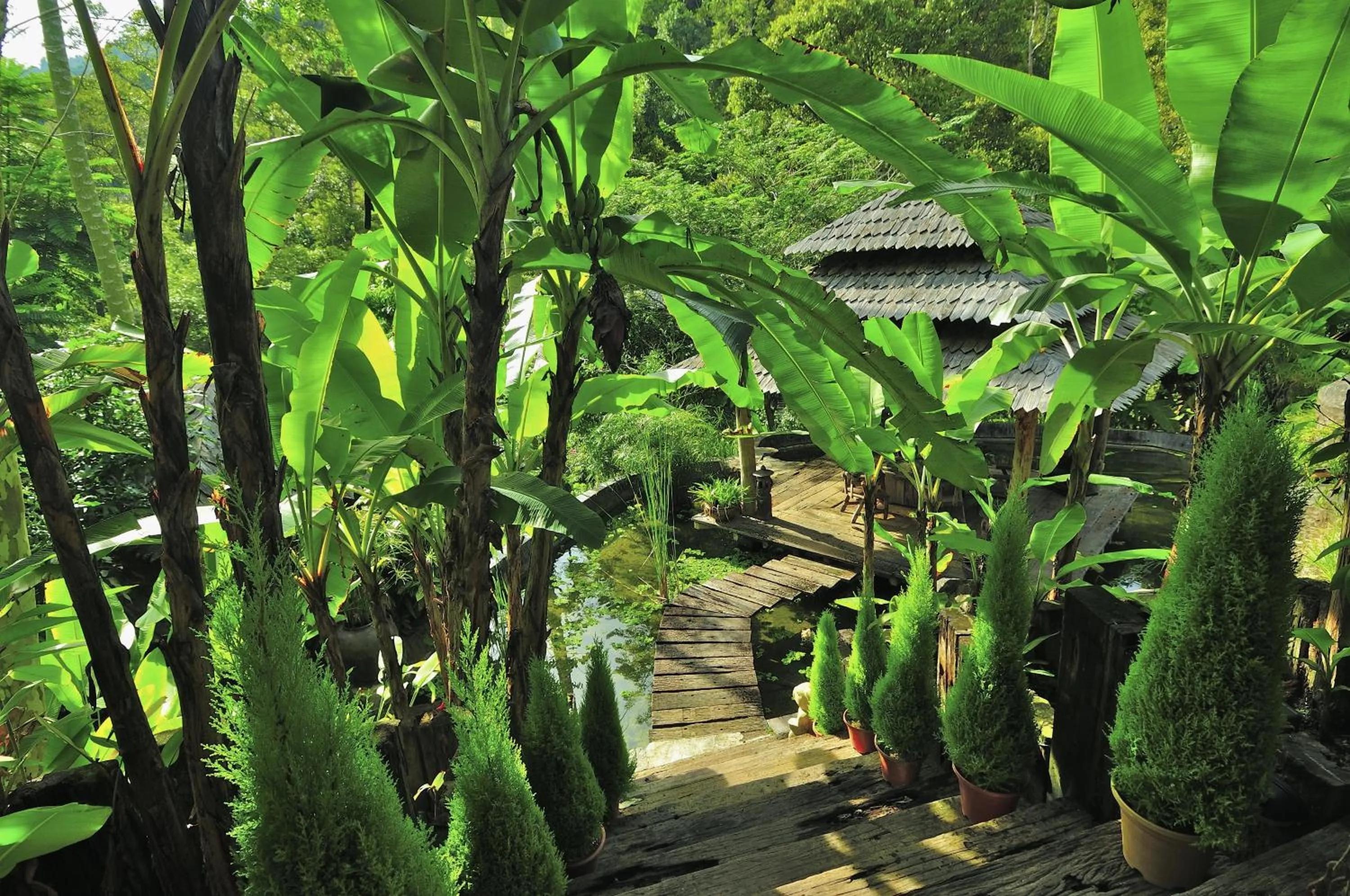 Garden in Fig Tree Hills Resort (花果山度假村)