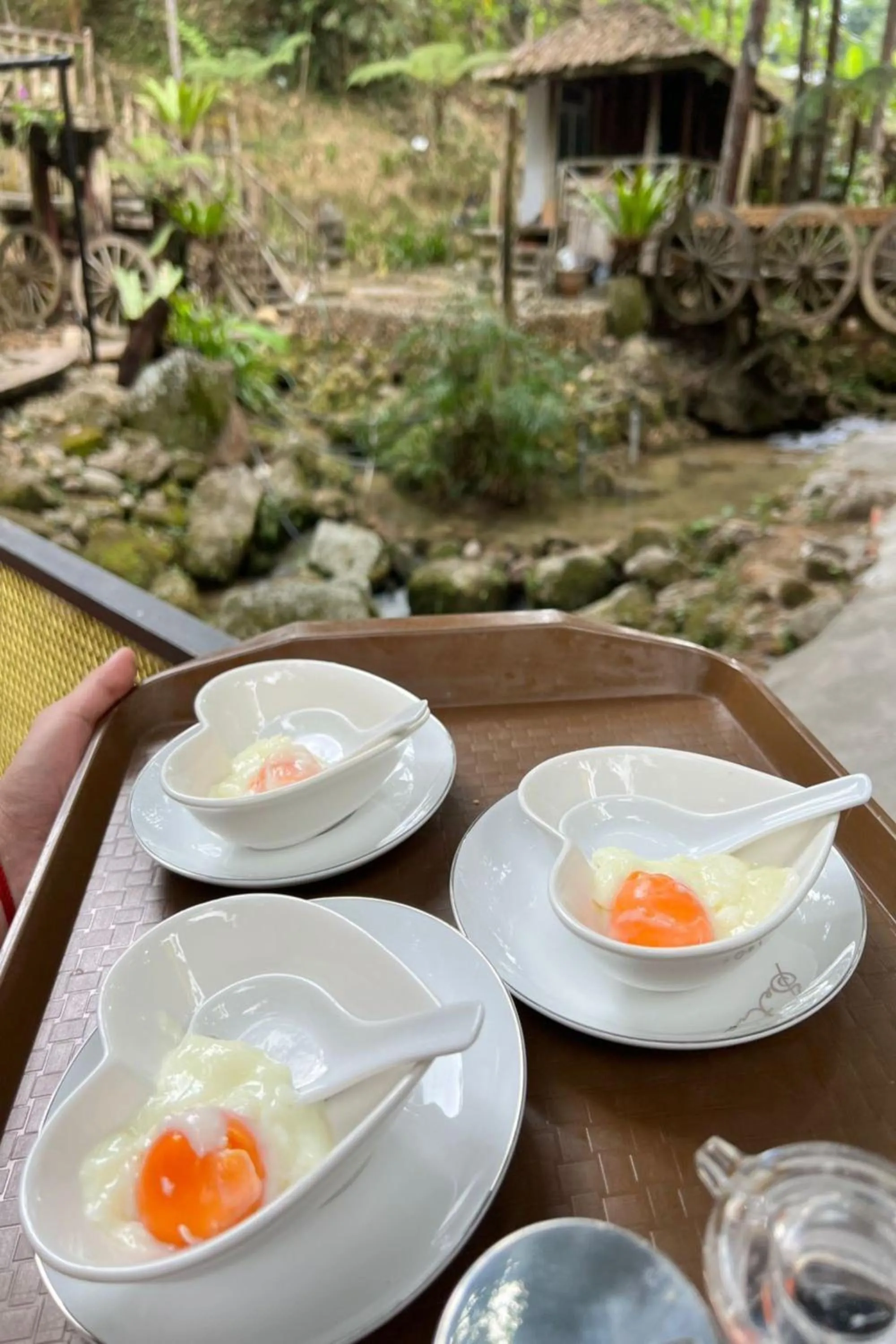 Food in Fig Tree Hills Resort (花果山度假村)