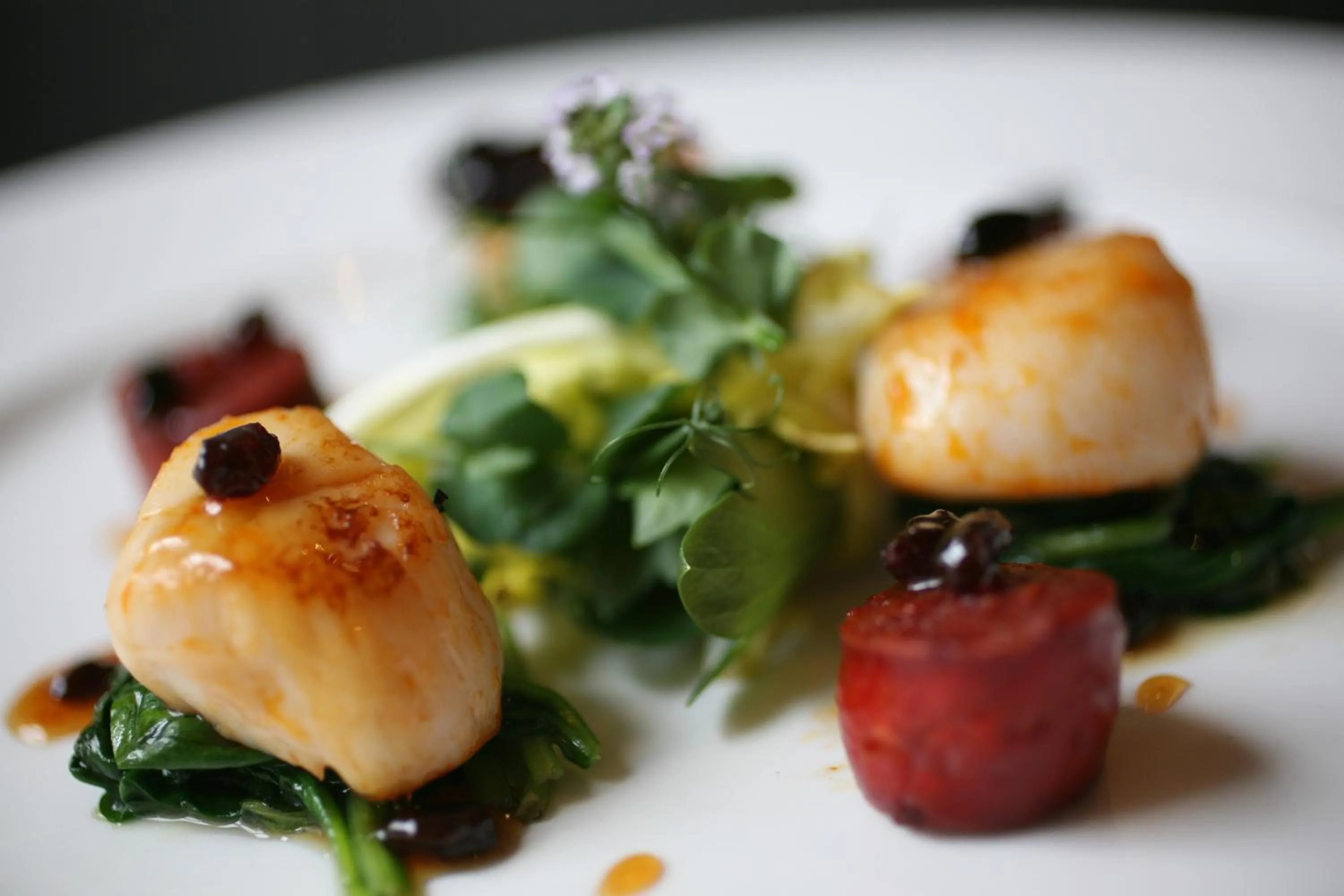 Restaurant/places to eat in The Crown Hotel