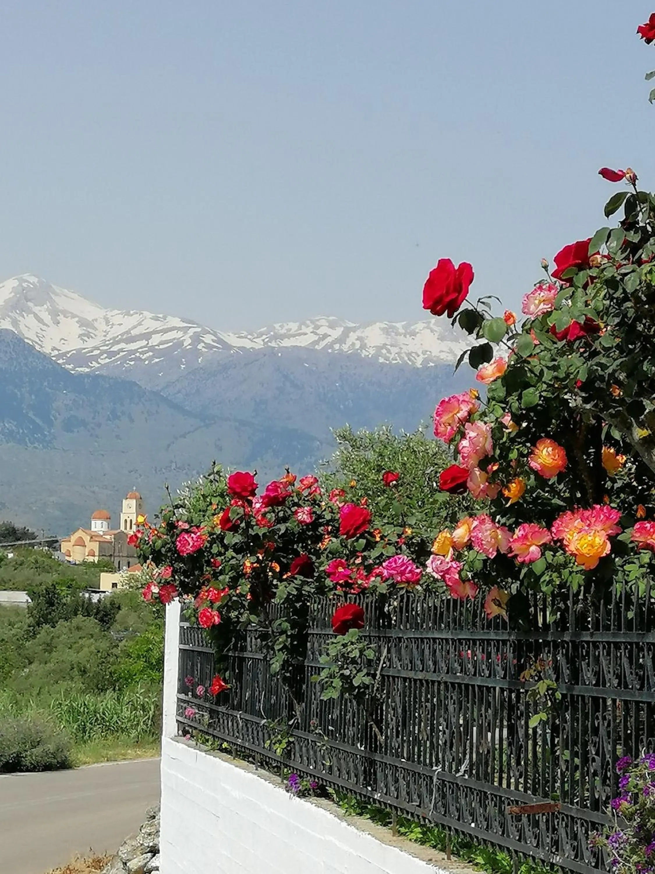 Natural landscape in Angelica Sea View with Pool