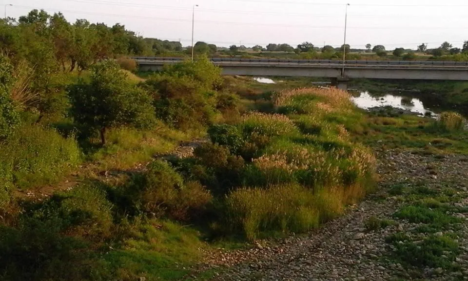 Day in Hotel Isidora