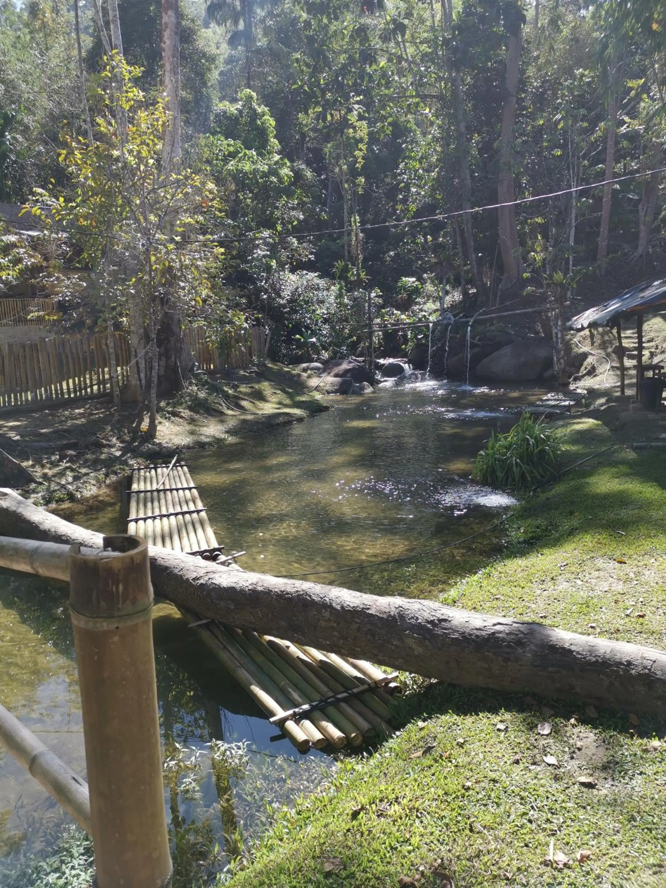 Rain Forest Inn
