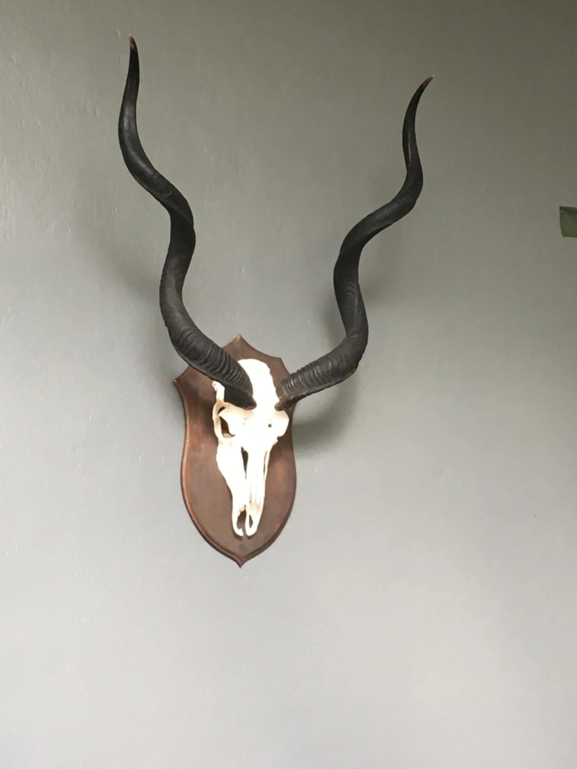 Decorative detail in Matoppo Inn