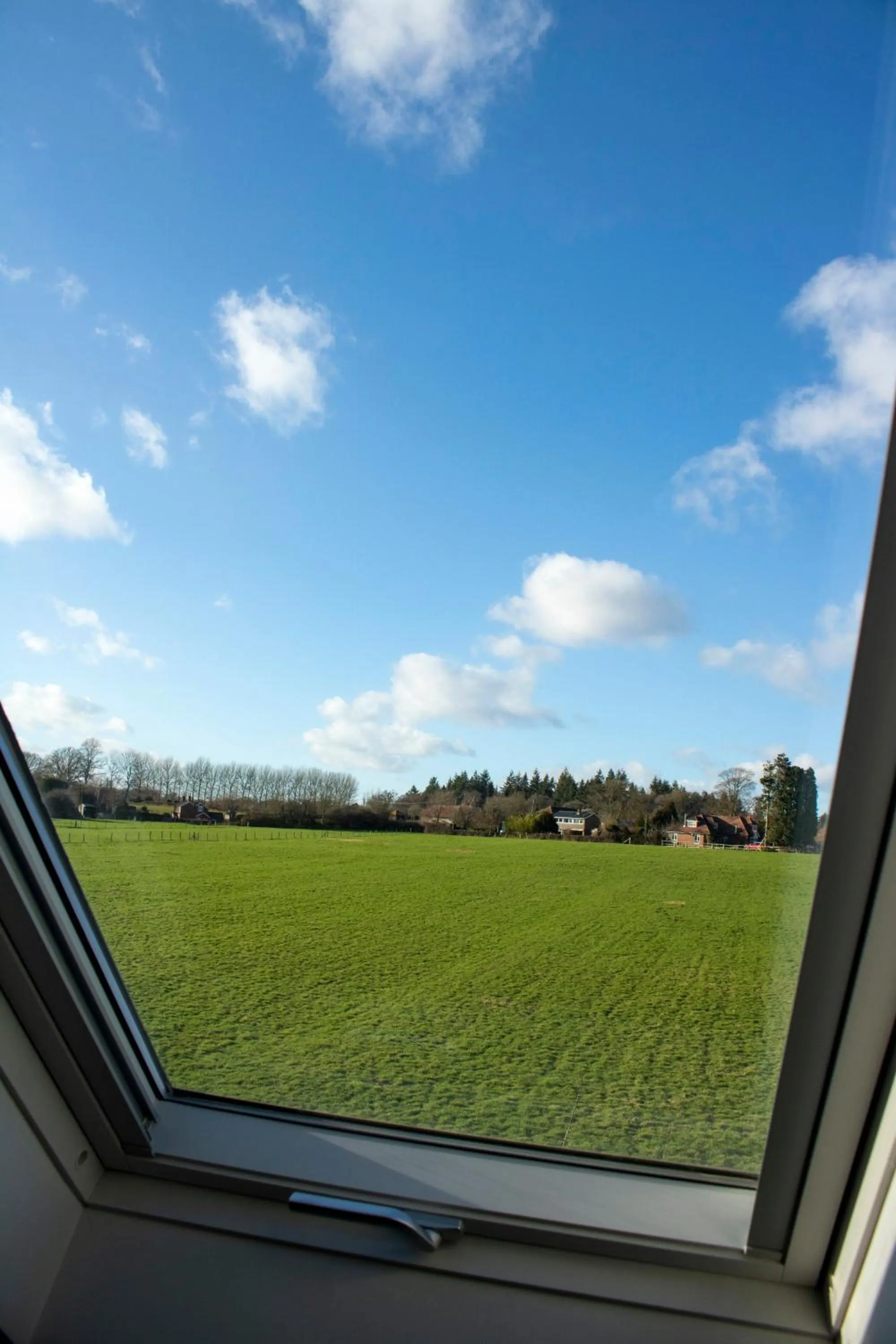 View (from property/room) in New Forest Lodge