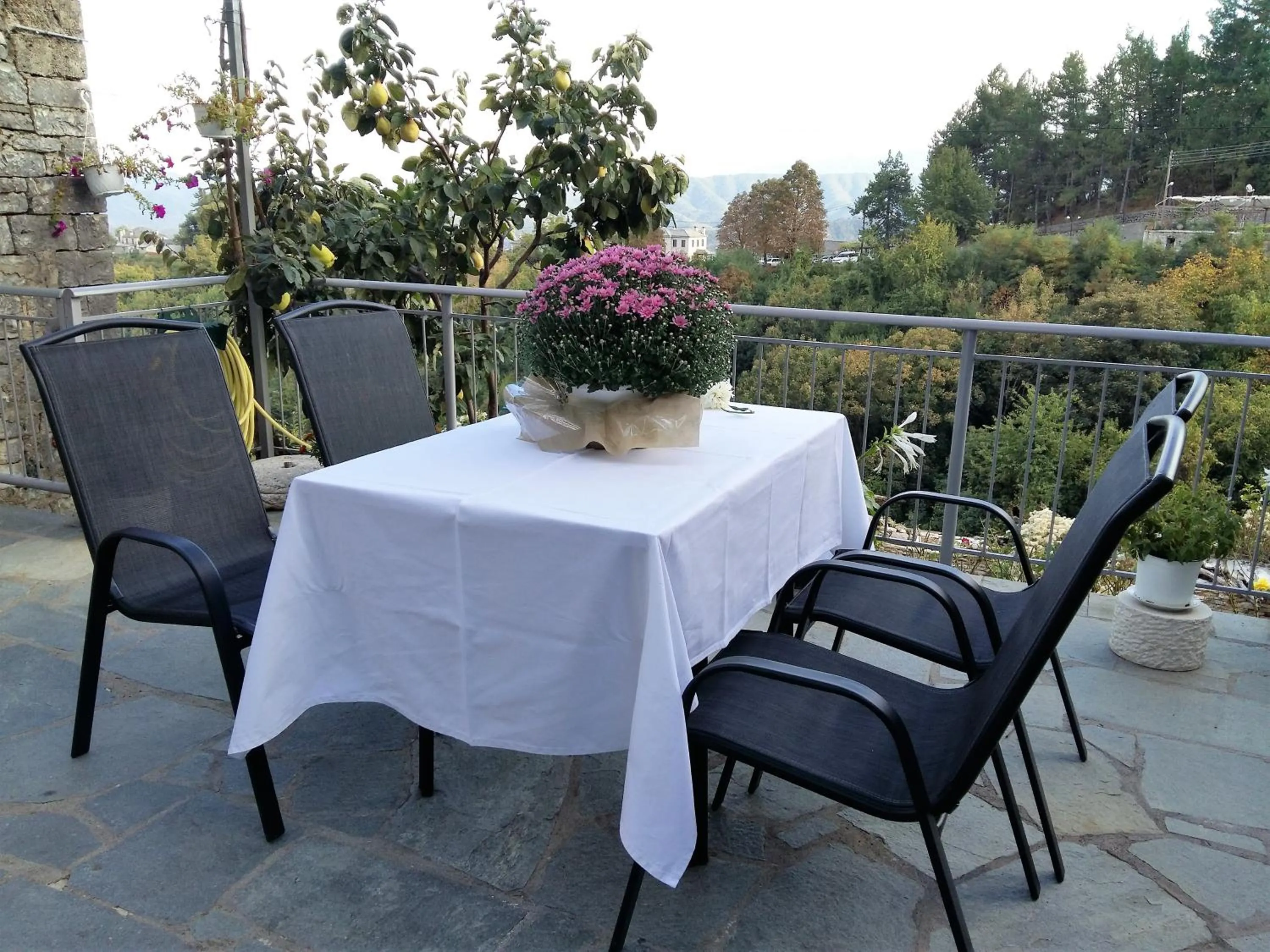 Patio in Archontiko Evridikis
