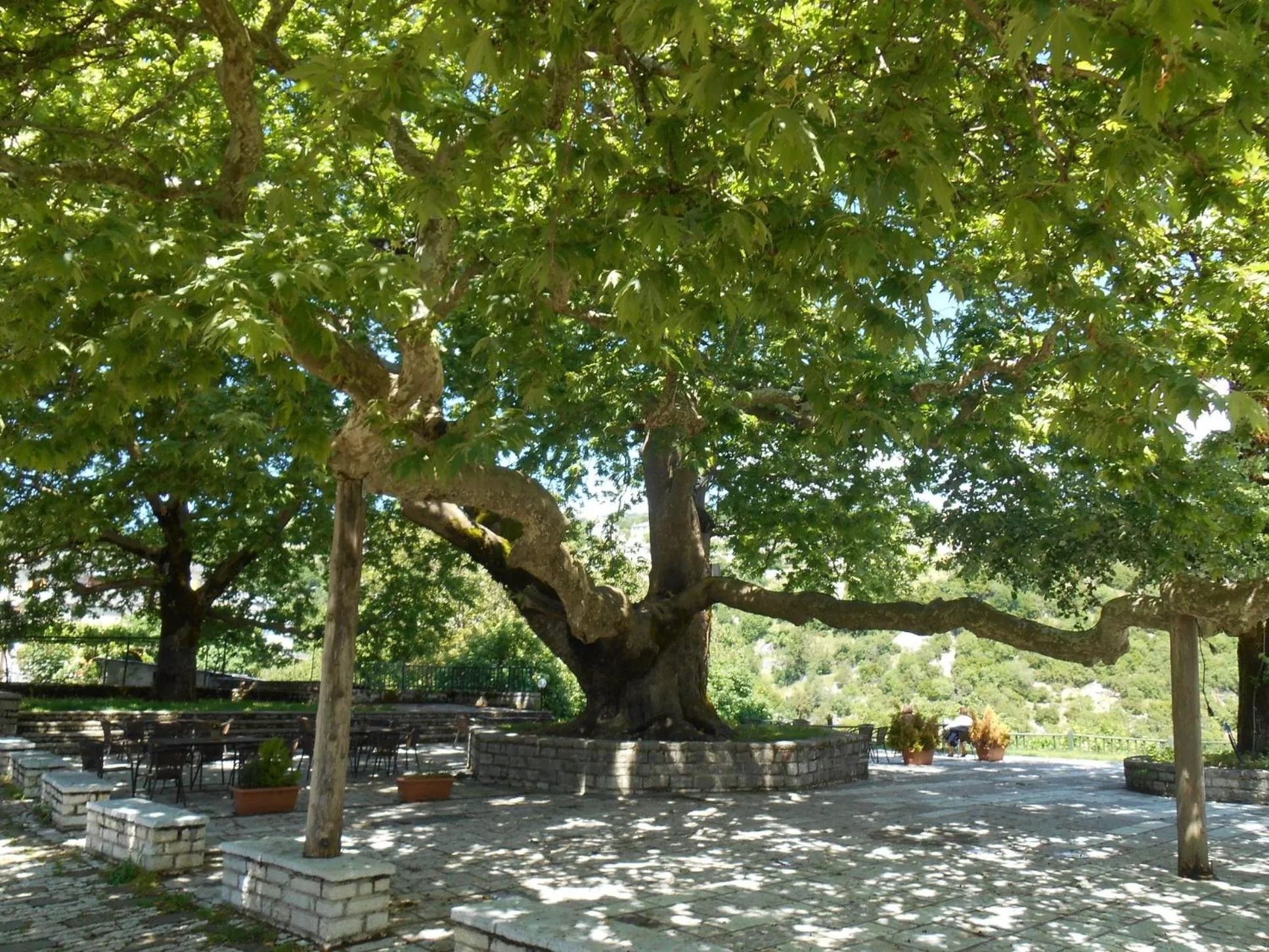 Off site in Archontiko Evridikis