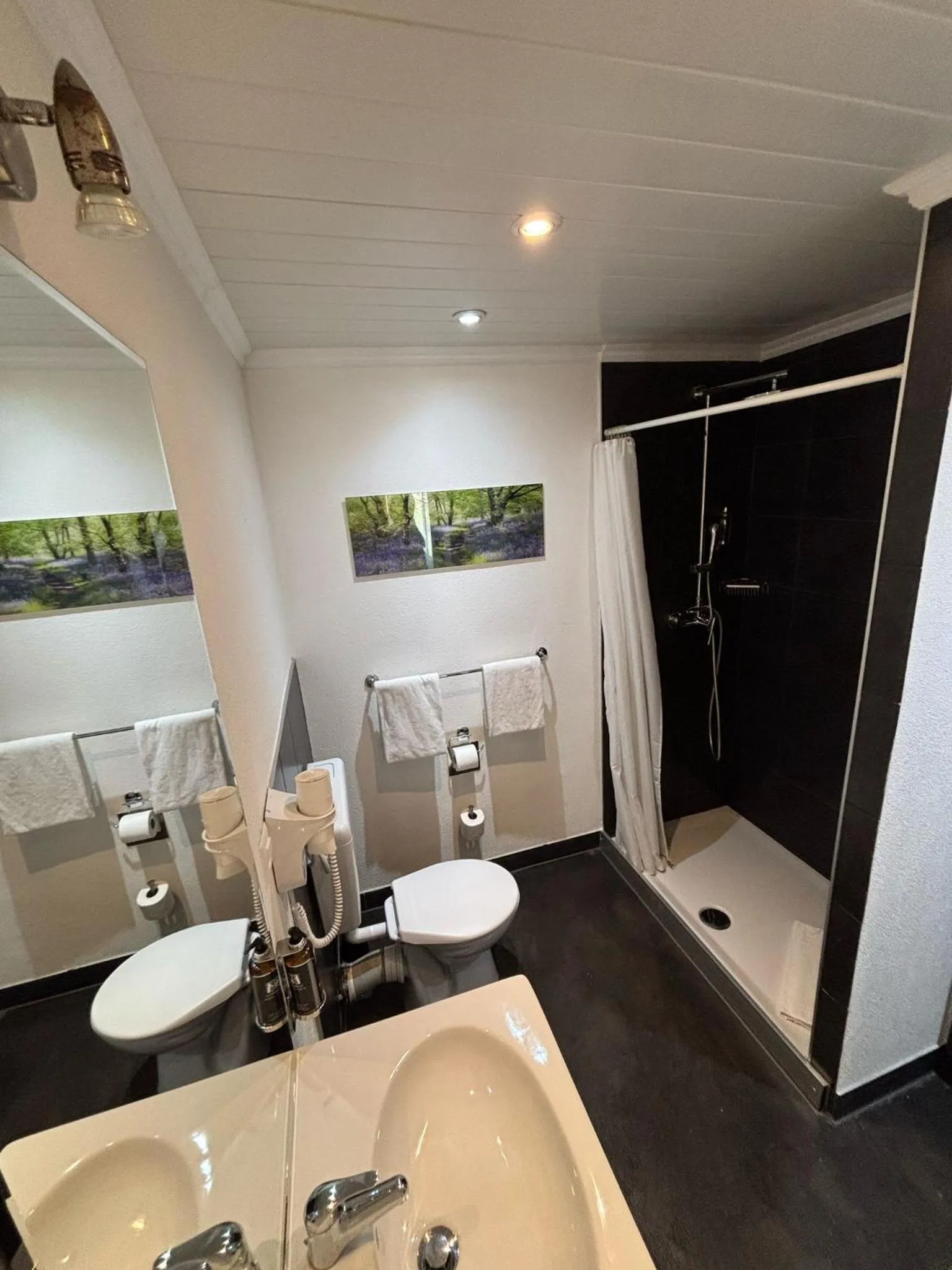 Bathroom in Hotel Parc & Lac