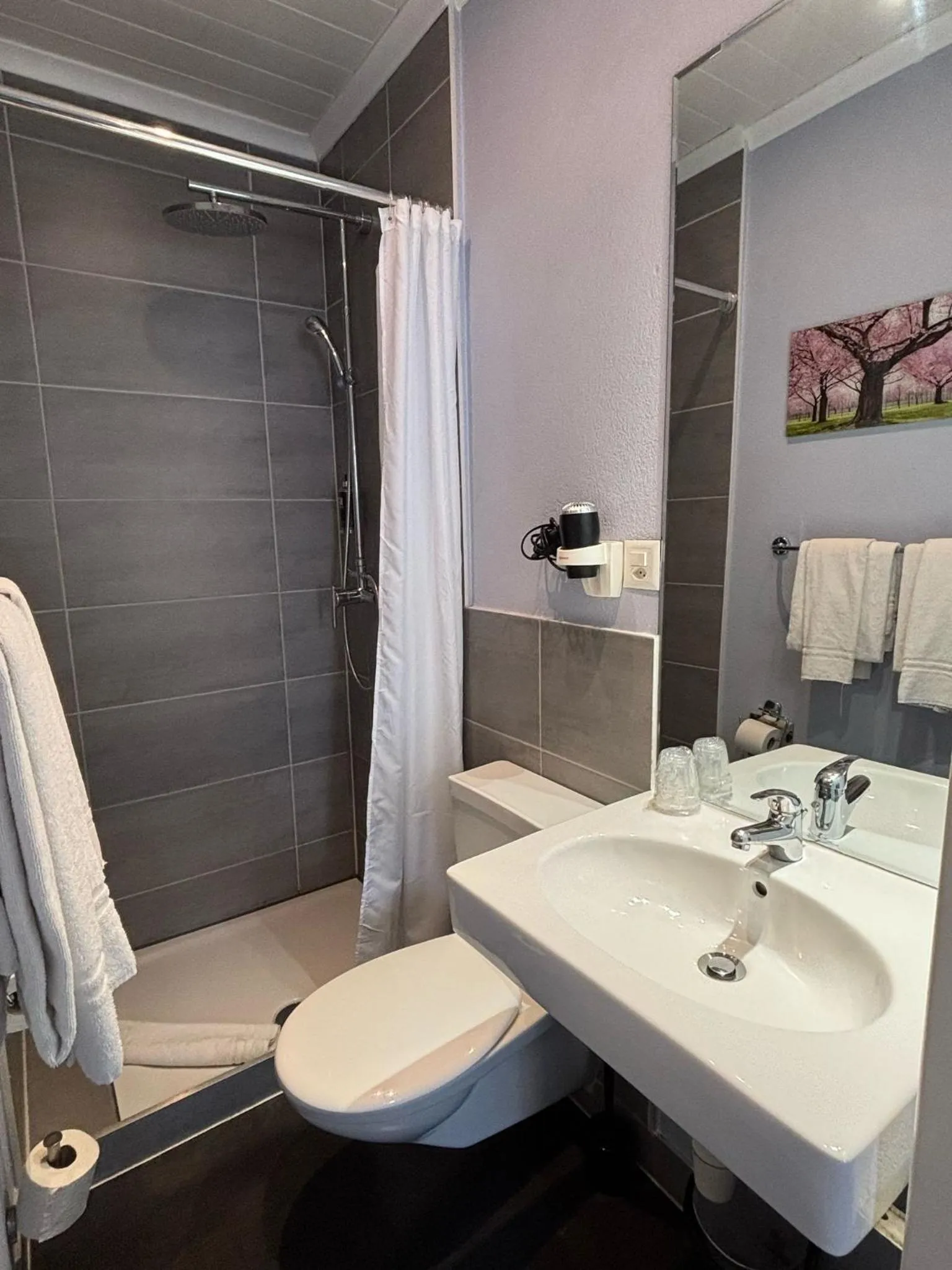 Bathroom in Hotel Parc & Lac