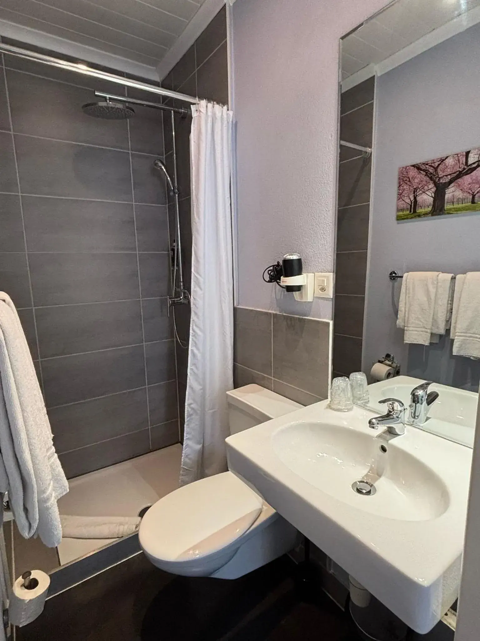 Standard Double Room with Lake View in Hotel Parc & Lac Standard Double Room with Lake View in Hotel Parc & Lac