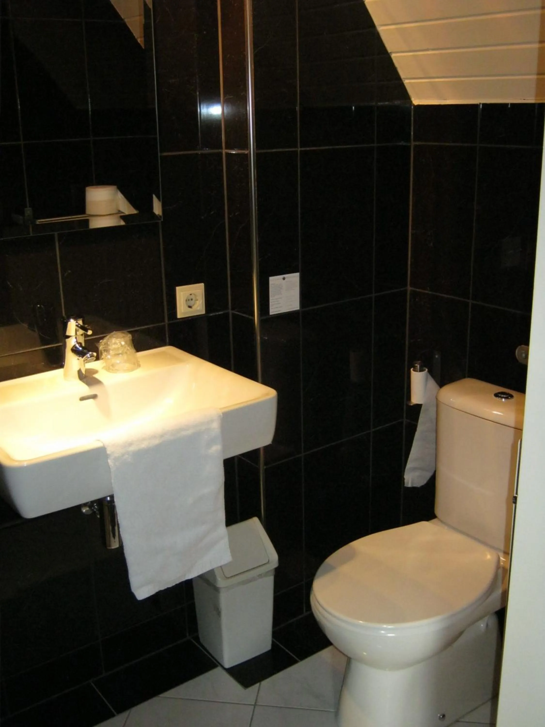 Toilet in Fletcher Hotel Restaurant Dinkeloord