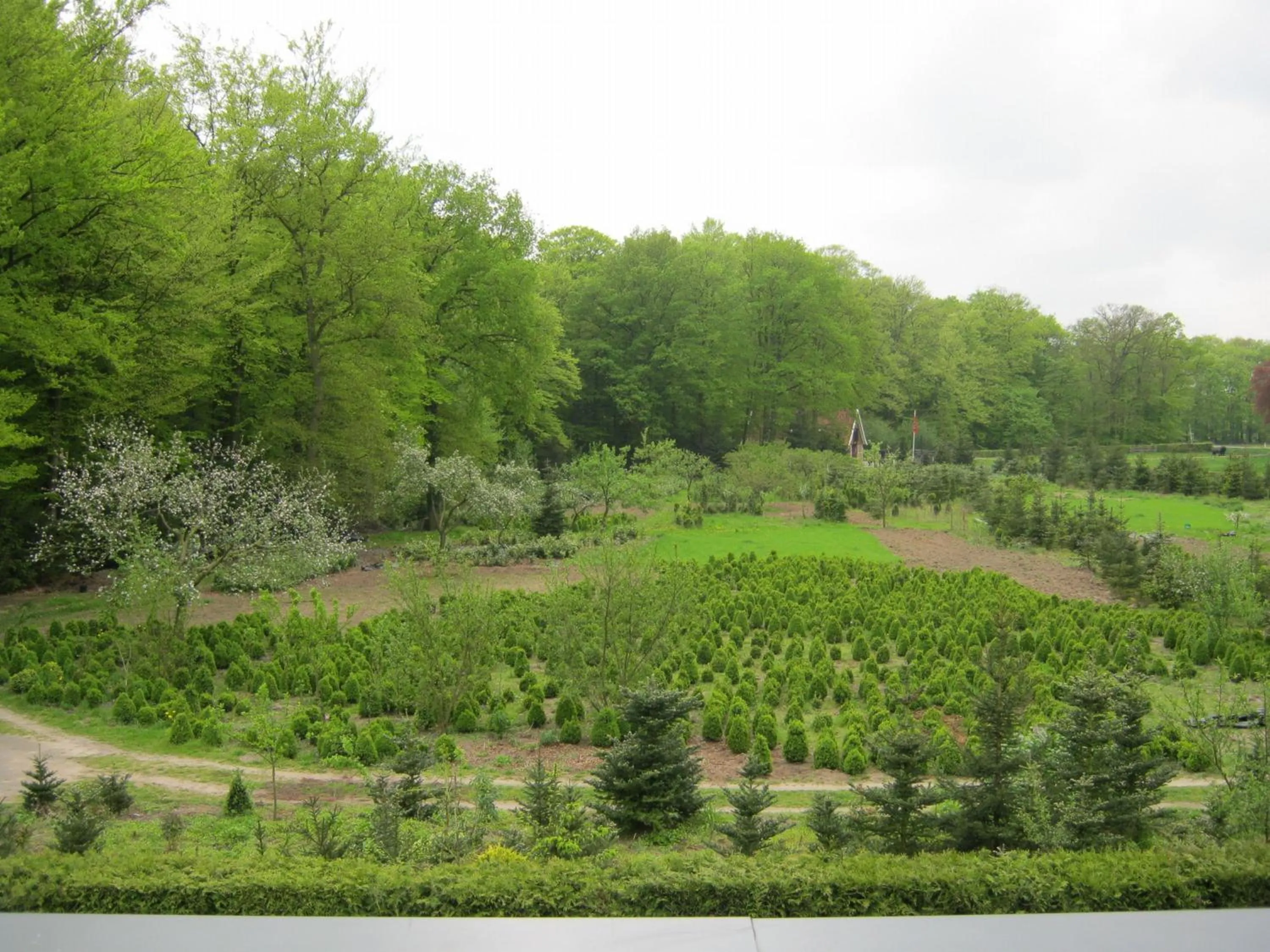 Area and facilities in Fletcher Hotel Restaurant Dinkeloord