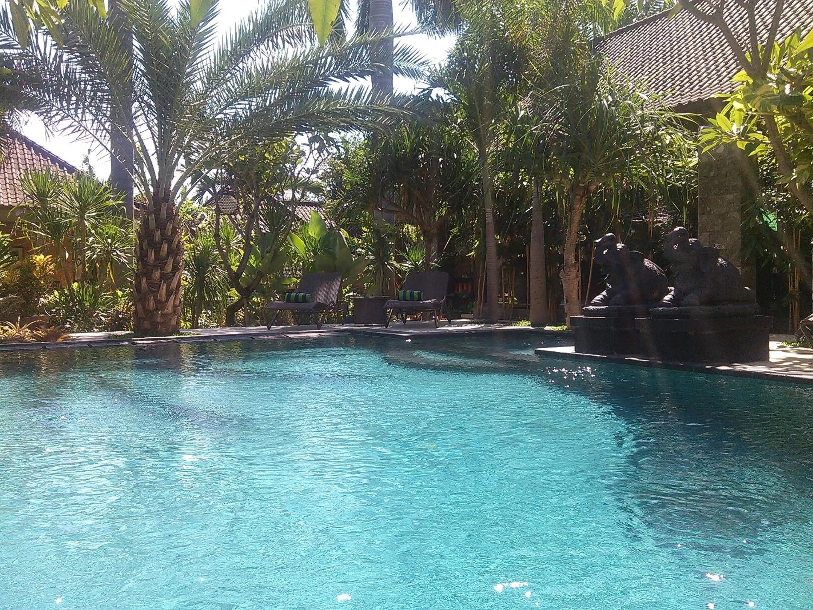 Swimming pool in Alami Resort, Restaurant and Dive Center
