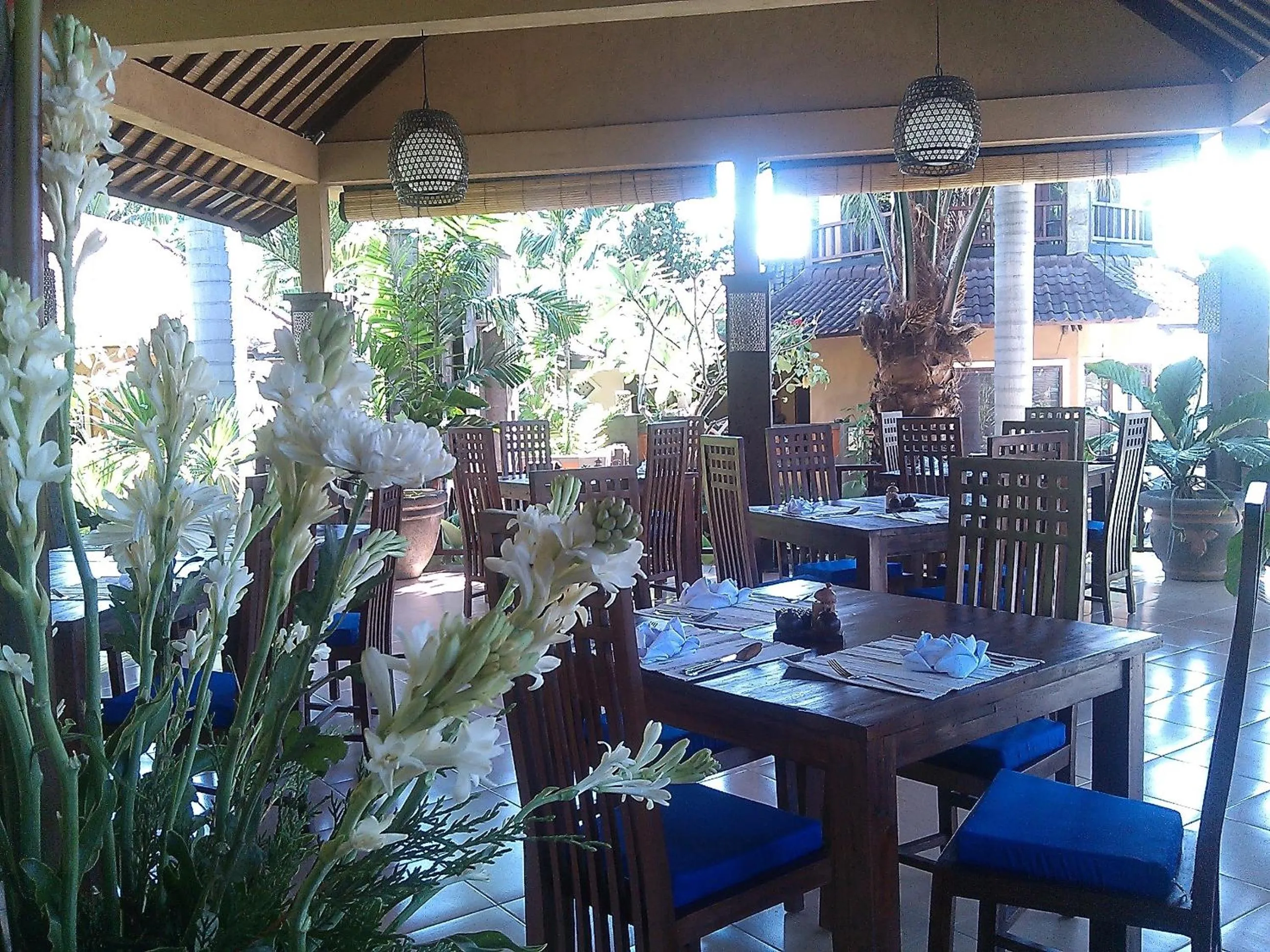Restaurant/places to eat in Alami Resort, Restaurant and Dive Center