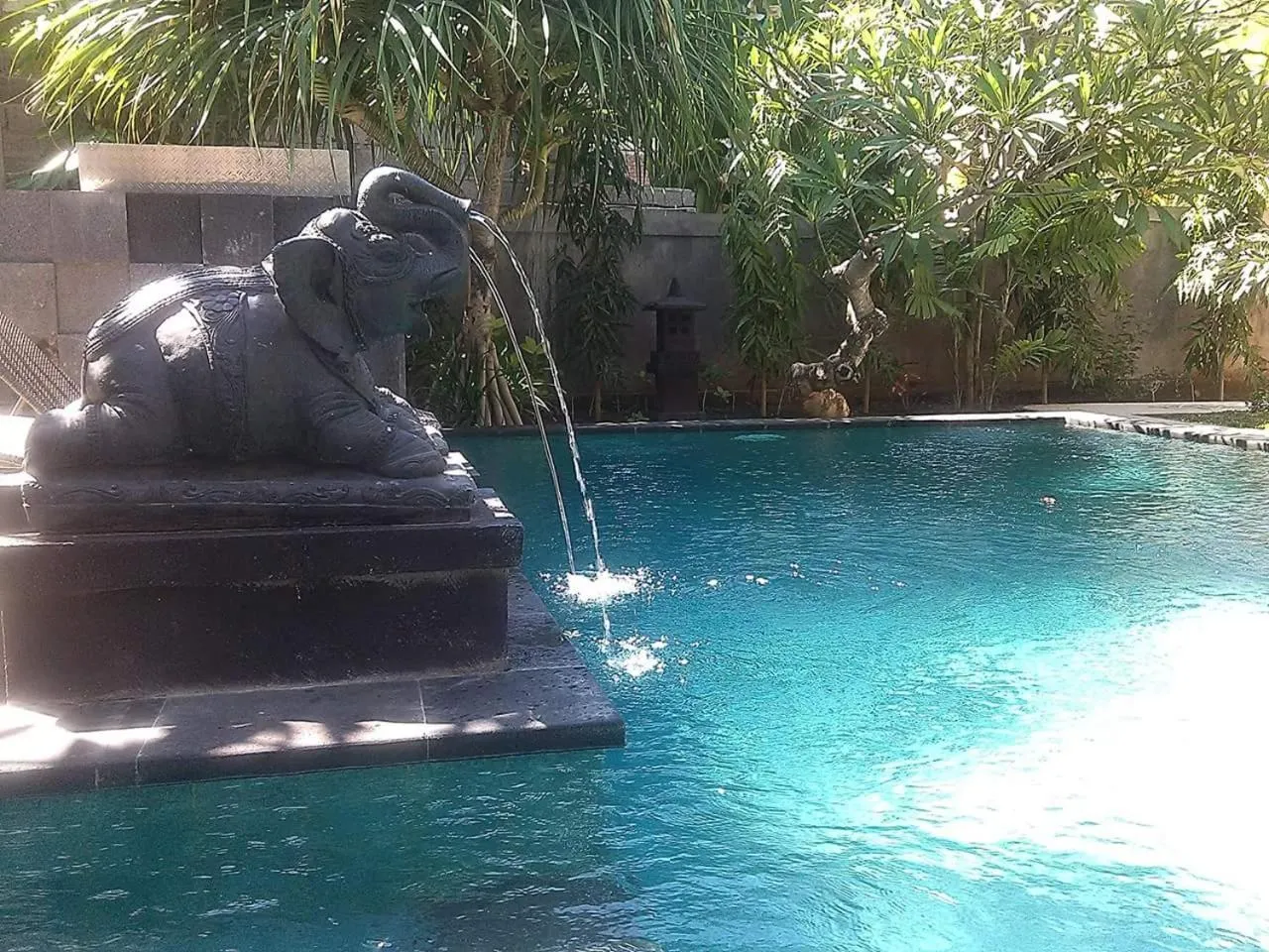 Swimming pool in Alami Resort, Restaurant and Dive Center