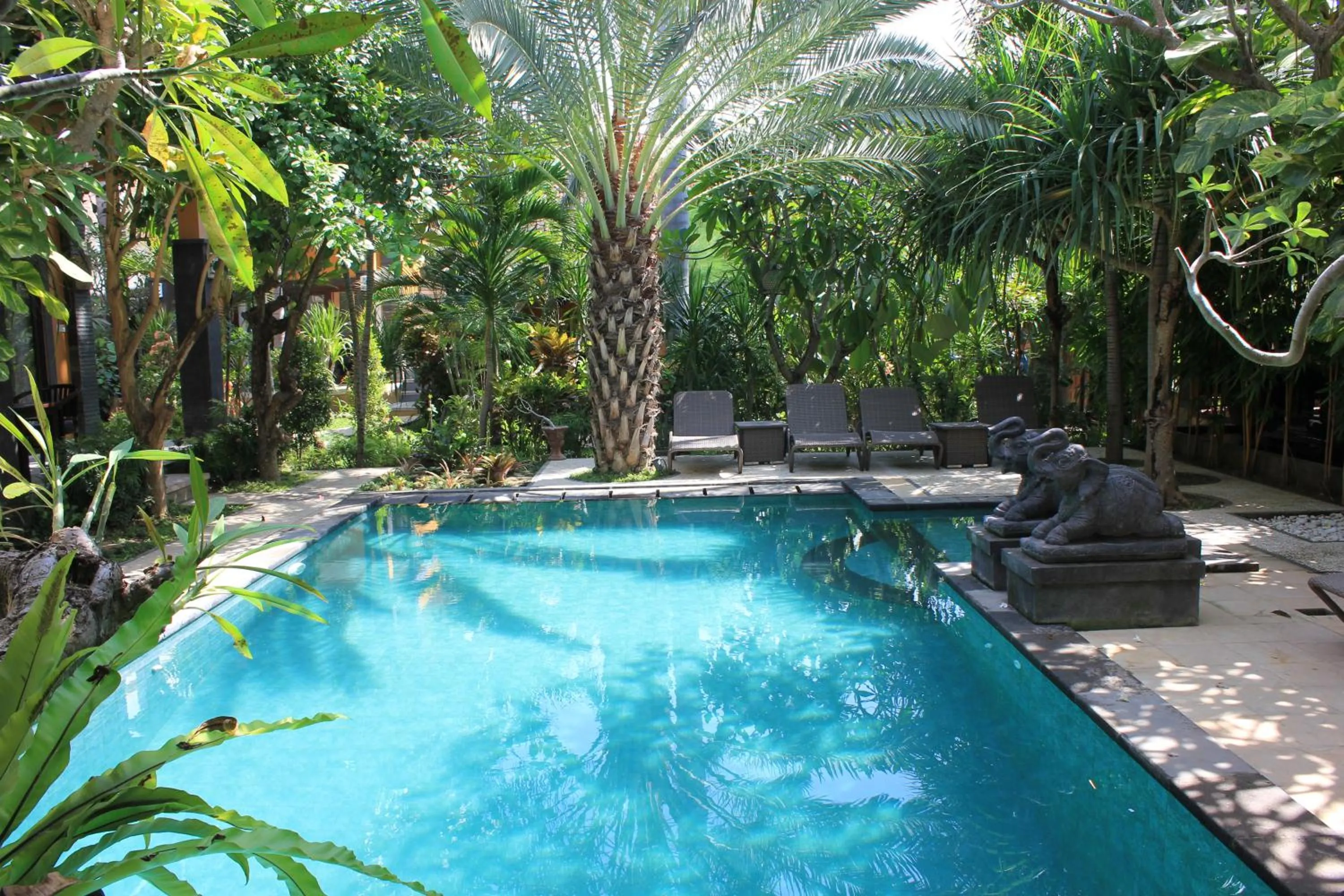 Swimming pool in Alami Resort, Restaurant and Dive Center