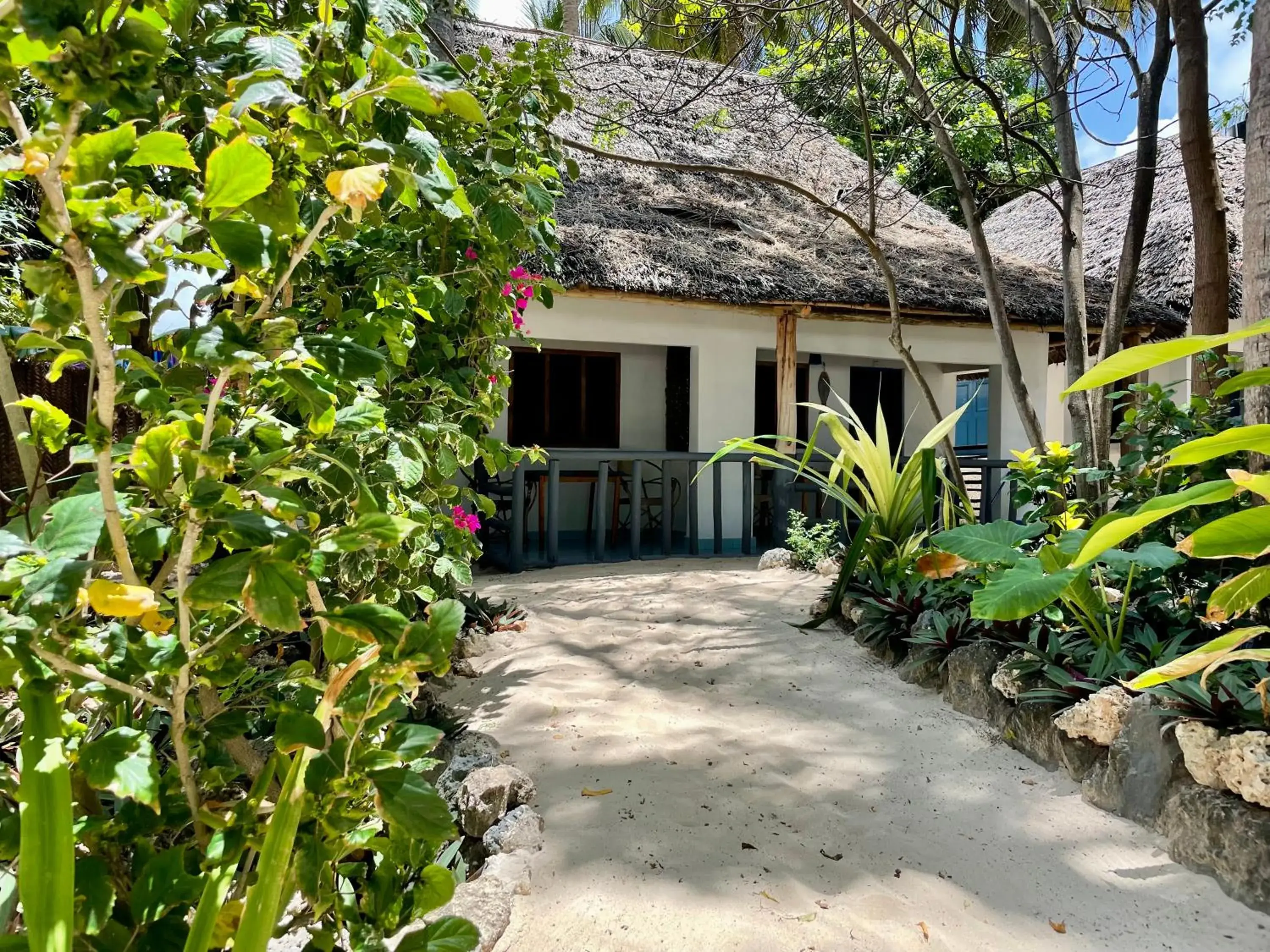 Bungalow with Sea View in Blue Reef Sport & Fishing Lodge and Bungalows Bungalow with Sea View in Blue Reef Sport & Fishing Lodge and Bungalows