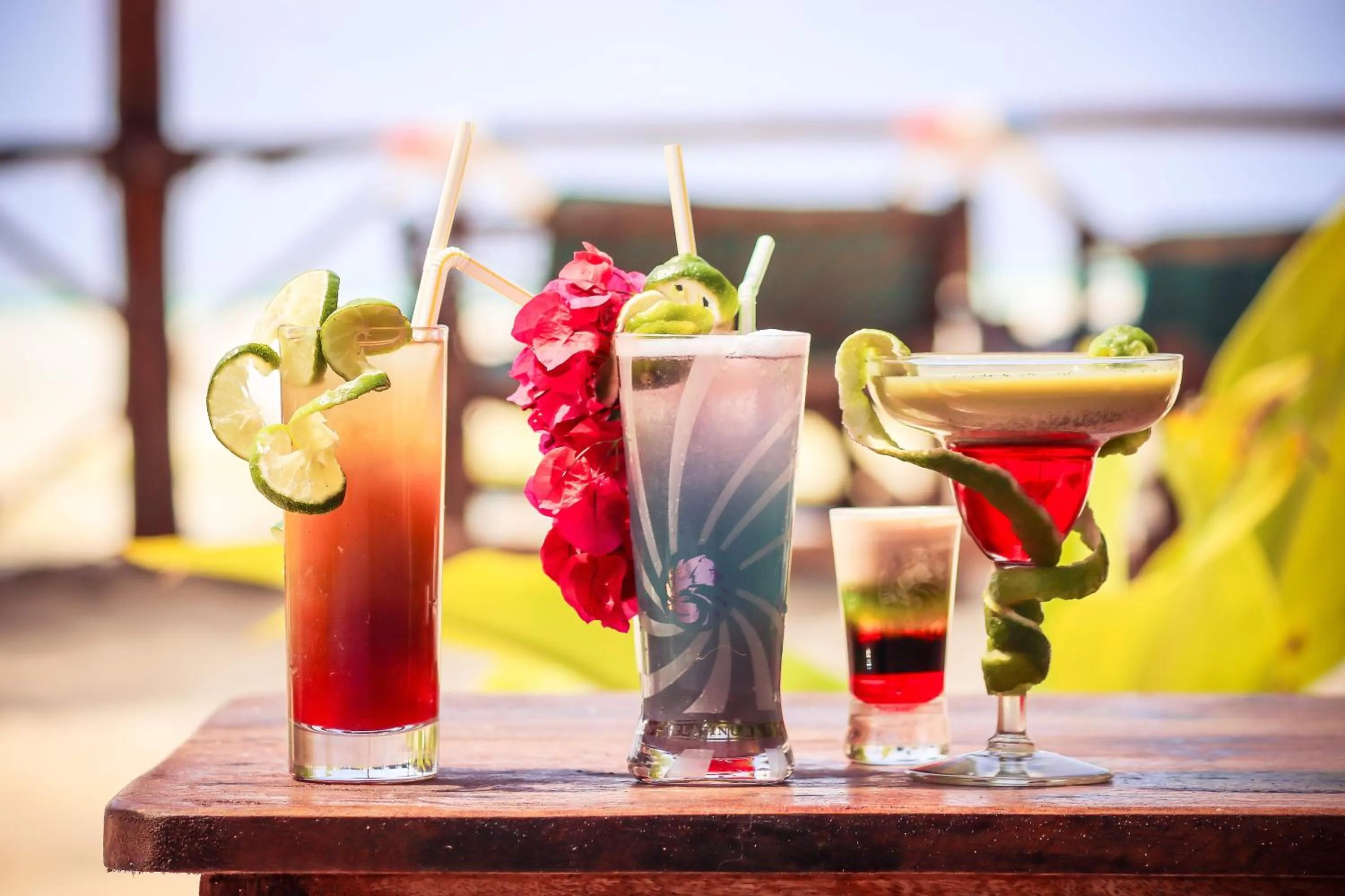 Other in Blue Reef Sport & Fishing Lodge and Bungalows