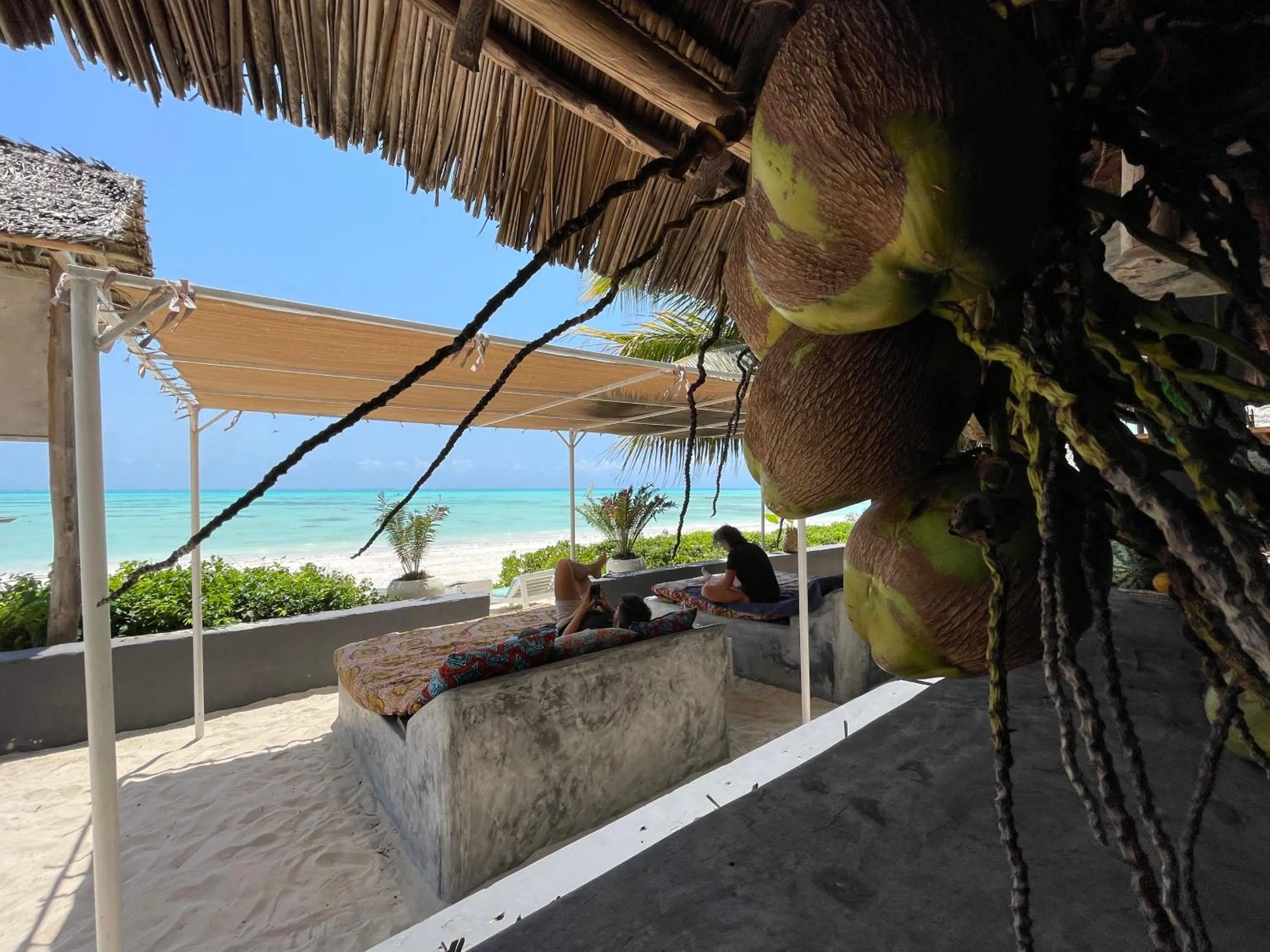 Beach in Blue Reef Sport & Fishing Lodge and Bungalows