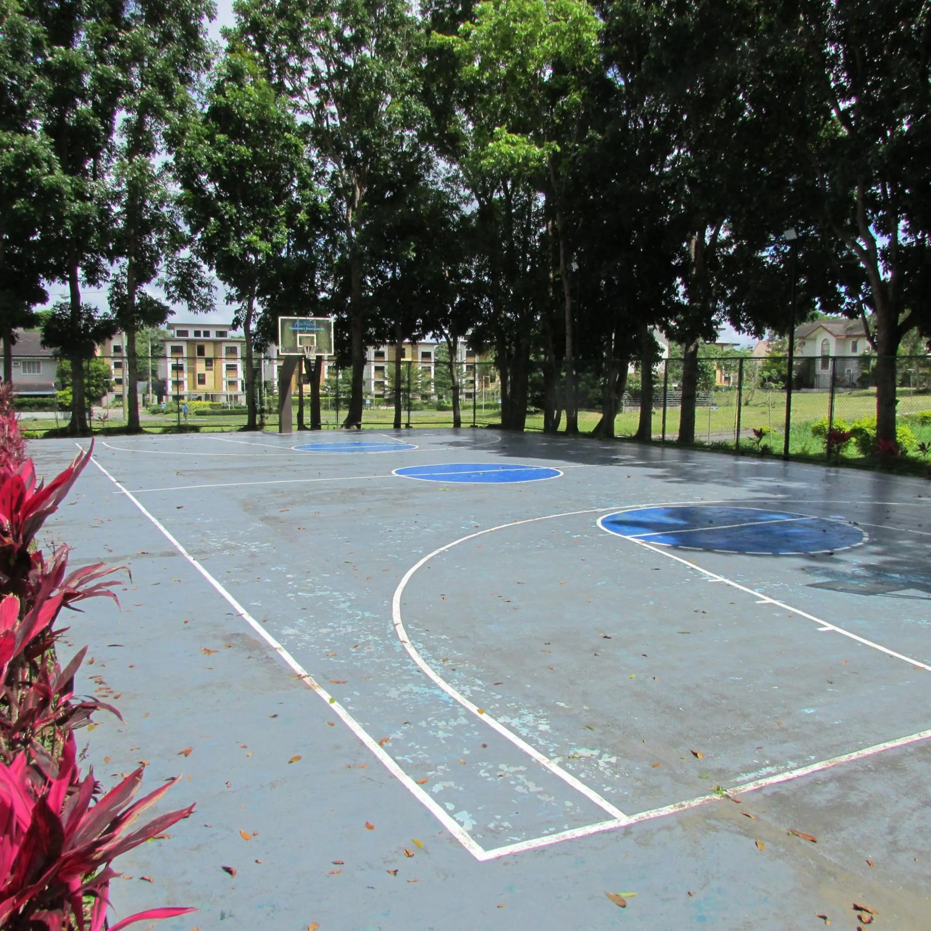 Sports in Casa Devino - Discover the Perfect Condo Getaway in Luxury, Netflix, Free Parking