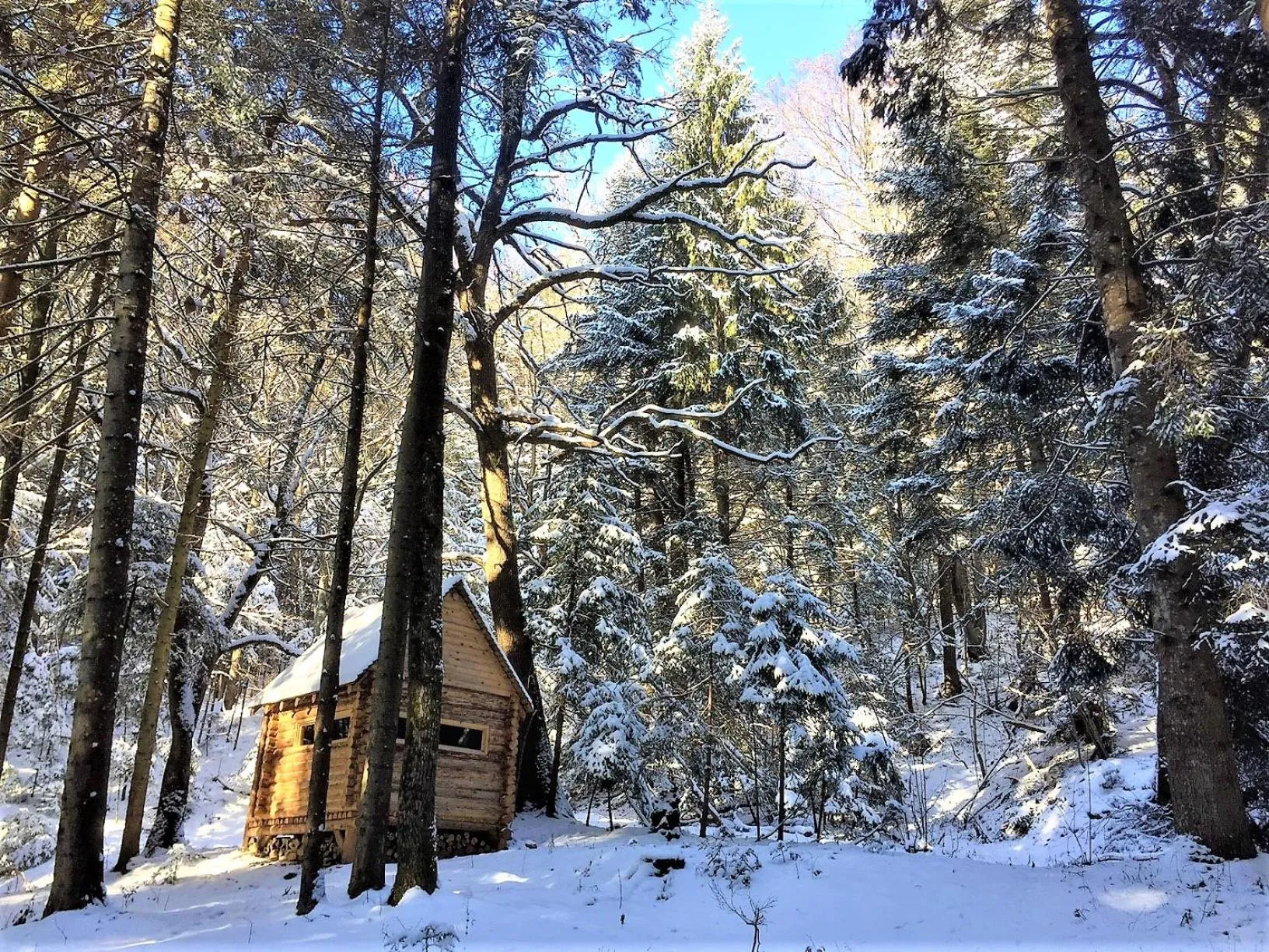 Activities in Zabola Estate - Transylvania