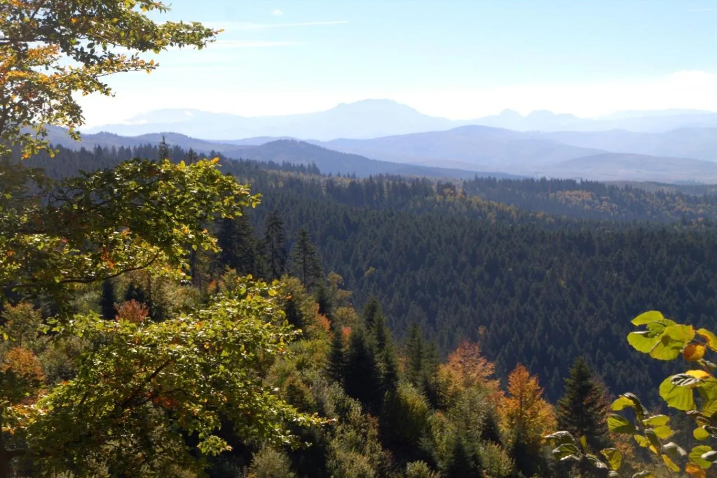Bird's eye view in Zabola Estate - Transylvania
