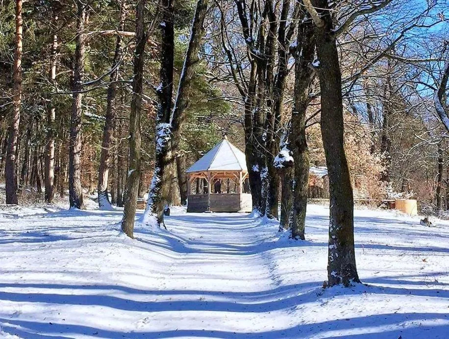 Day in Zabola Estate - Transylvania