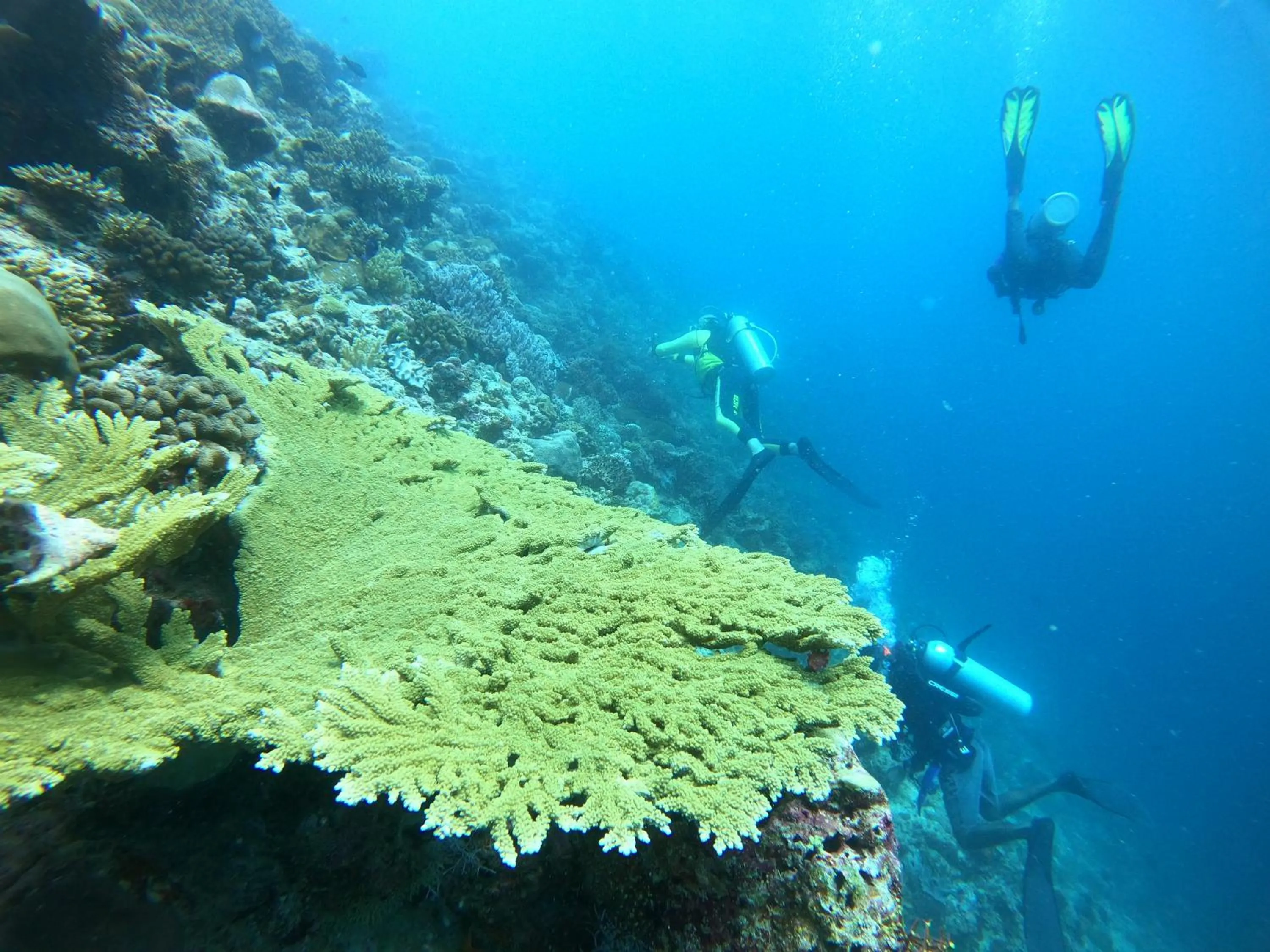 Natural landscape in Manta Sea View Himandhoo
