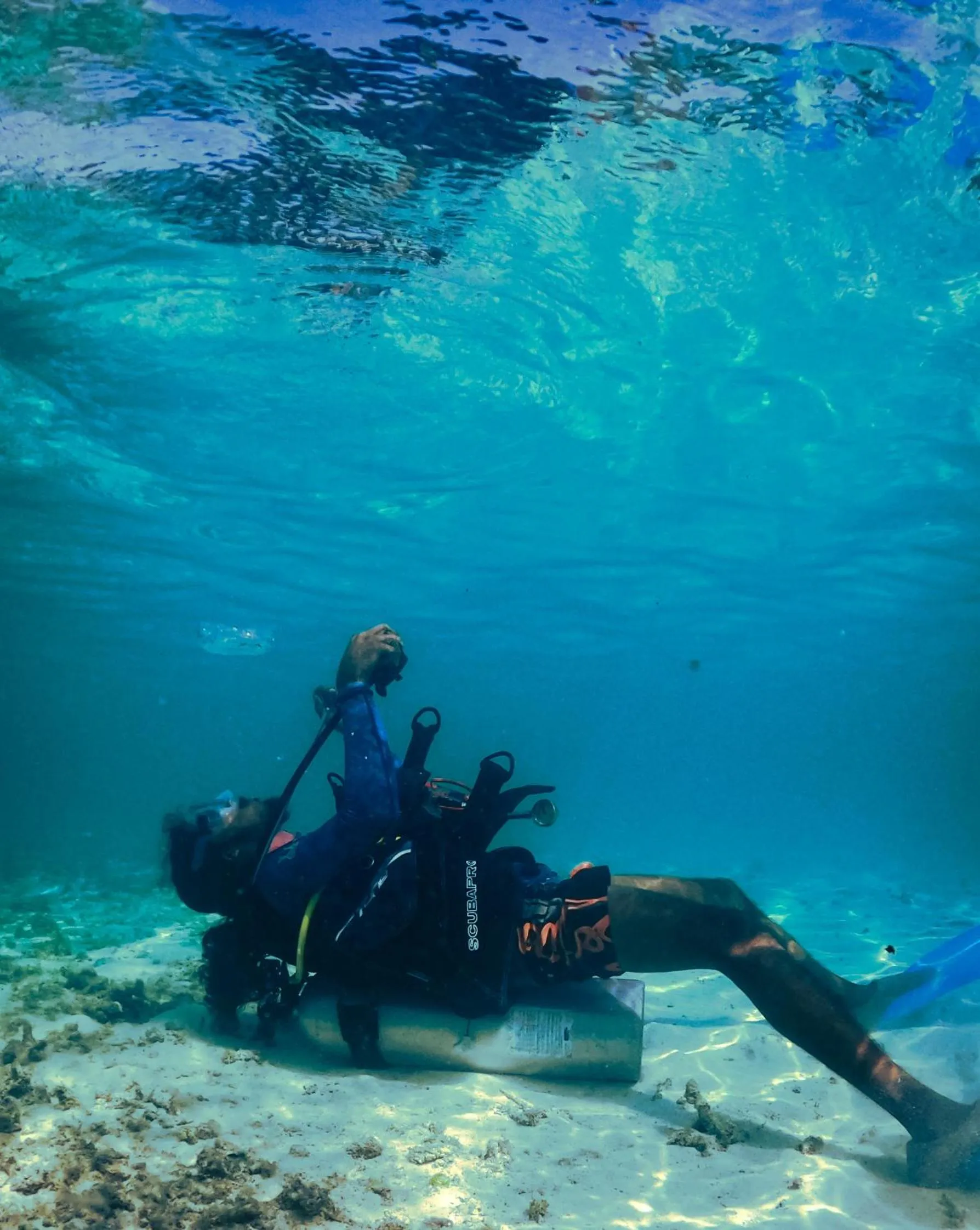 Diving in Manta Sea View Himandhoo