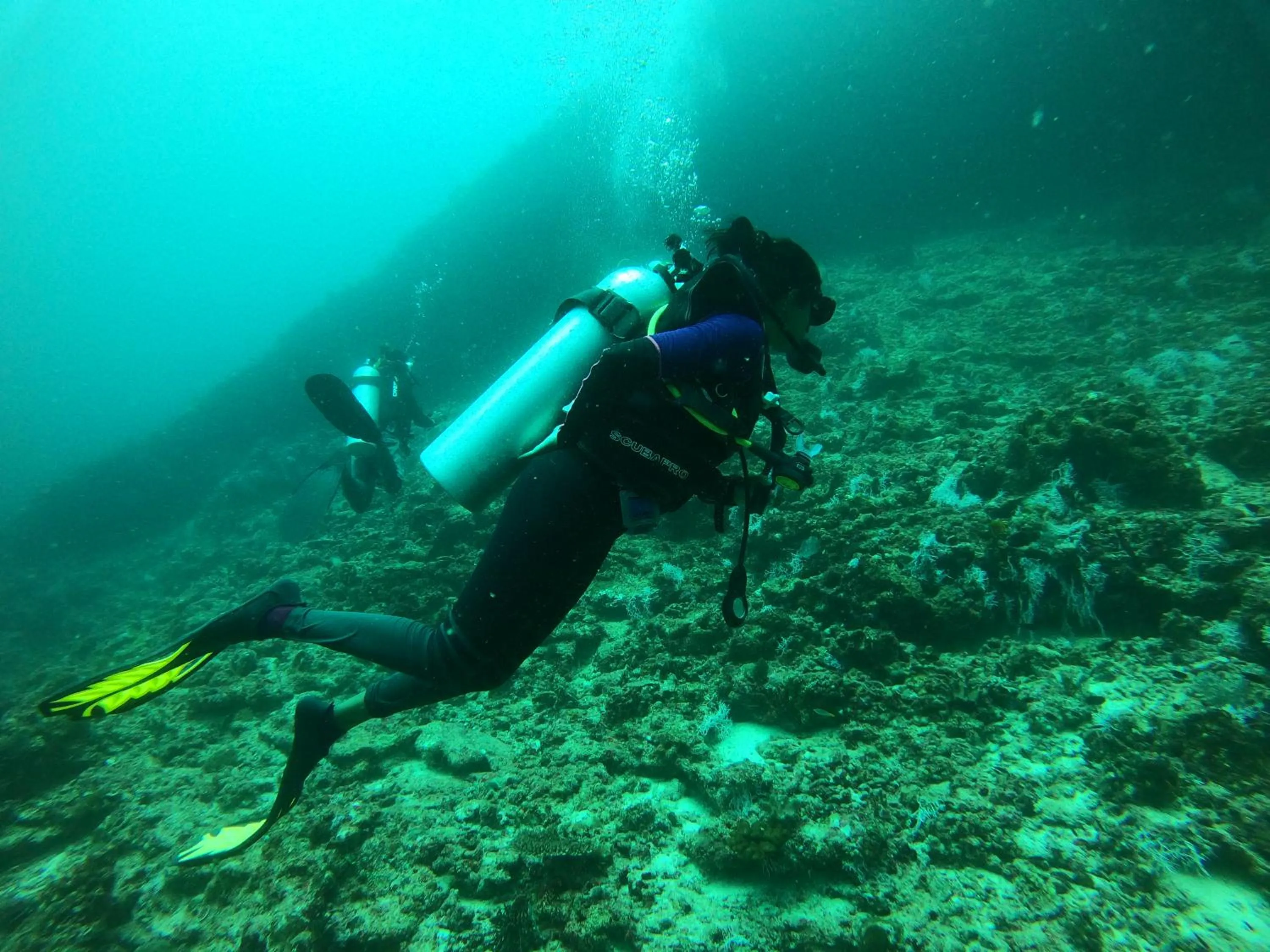 Activities in Manta Sea View Himandhoo