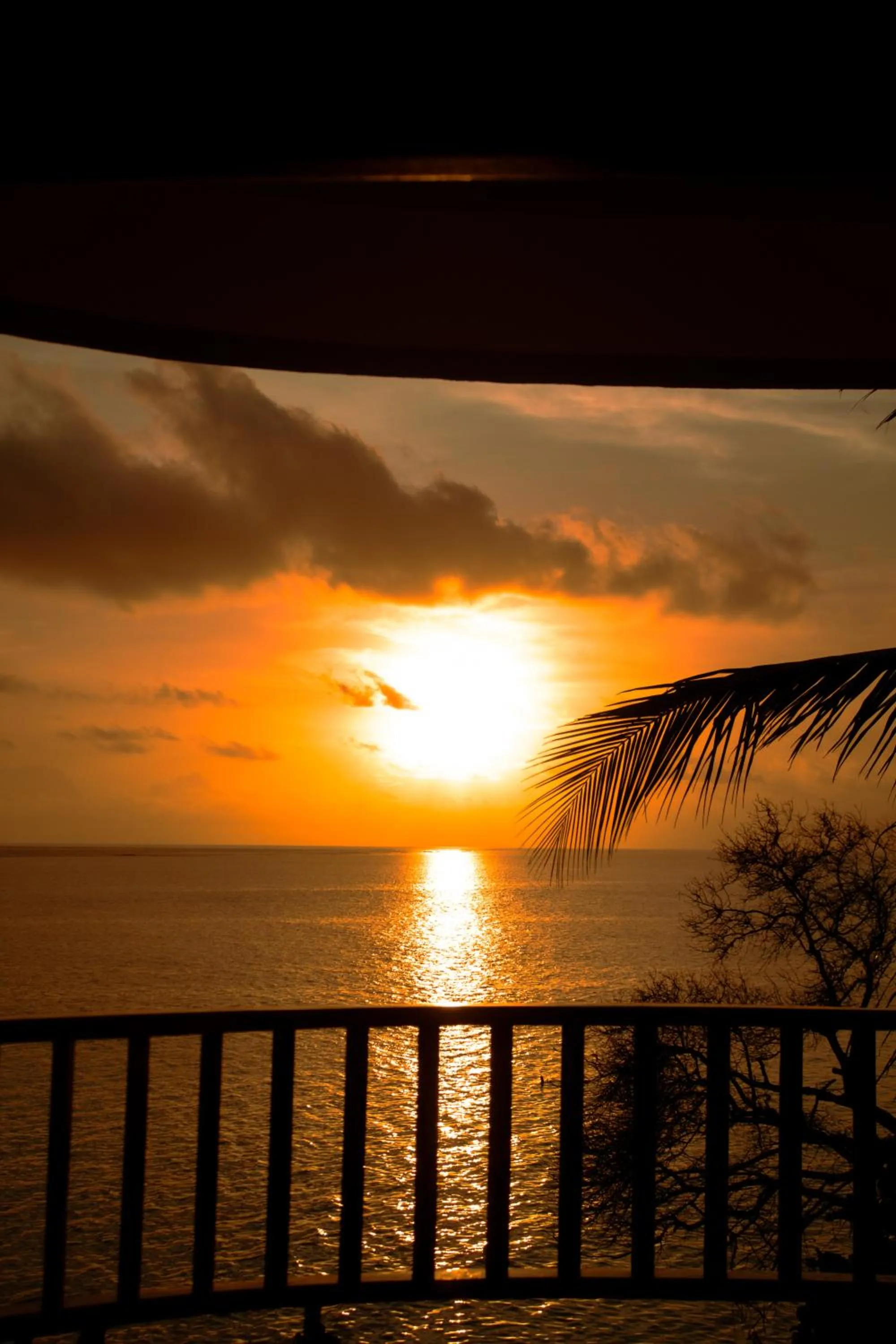 Natural landscape in Manta Sea View Himandhoo