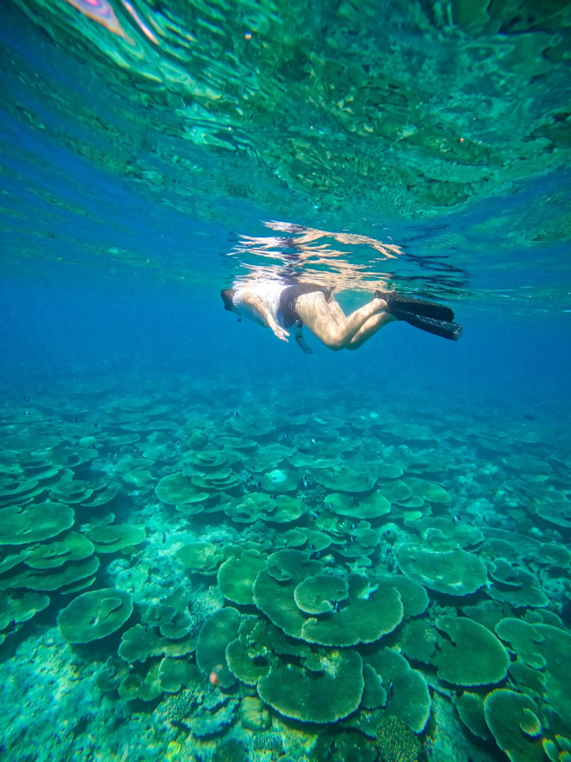 Natural landscape in Manta Sea View Himandhoo