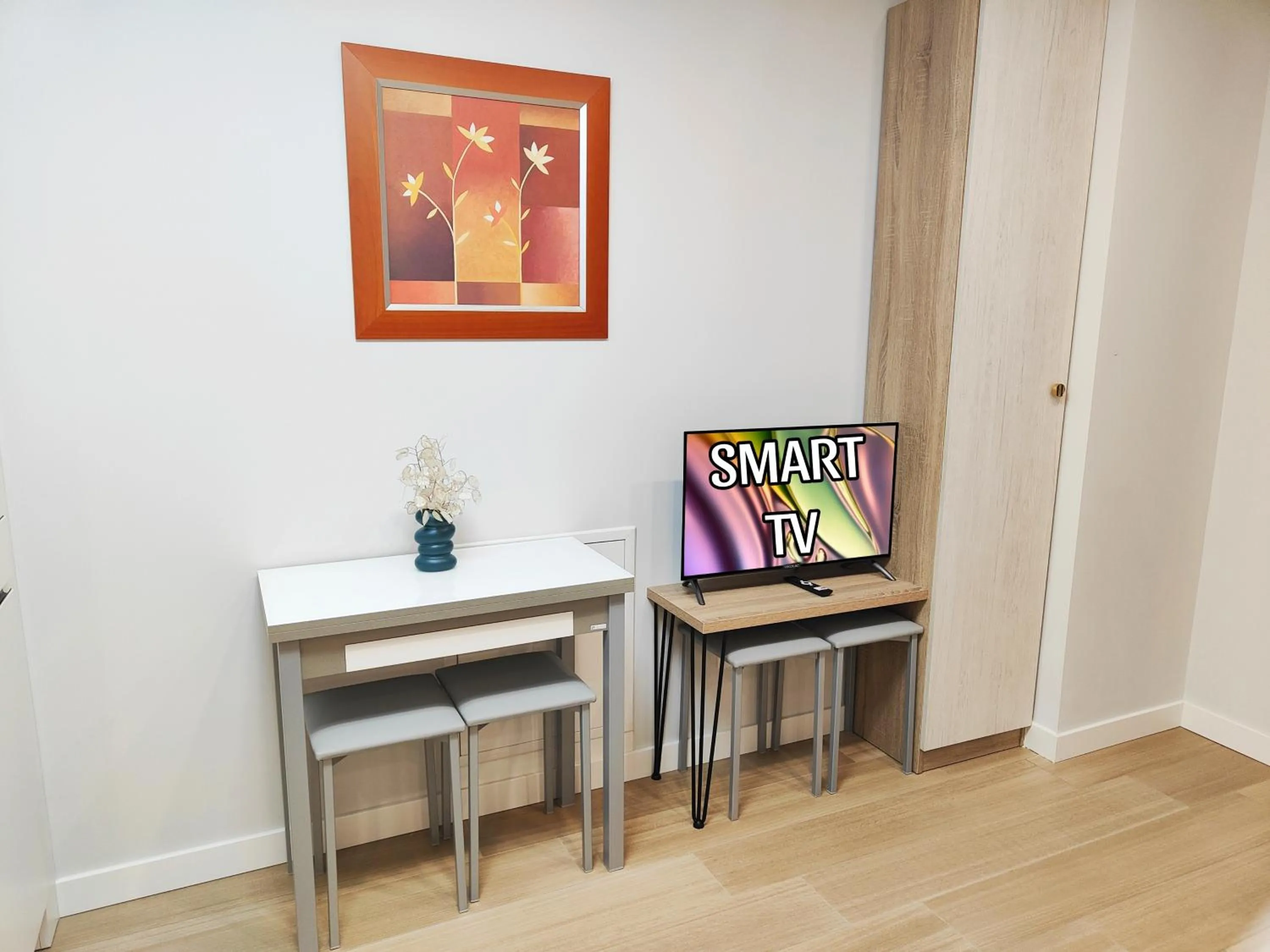 TV and multimedia in Apartamentos Centro Oviedo Caveda