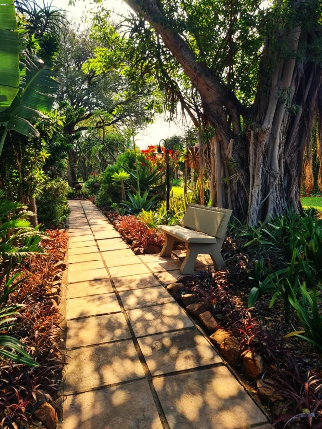 Garden in Barnstormers Rest